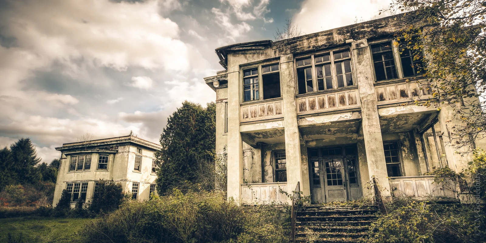 "Memories of Better Days" | Stolen Ivory Asylum