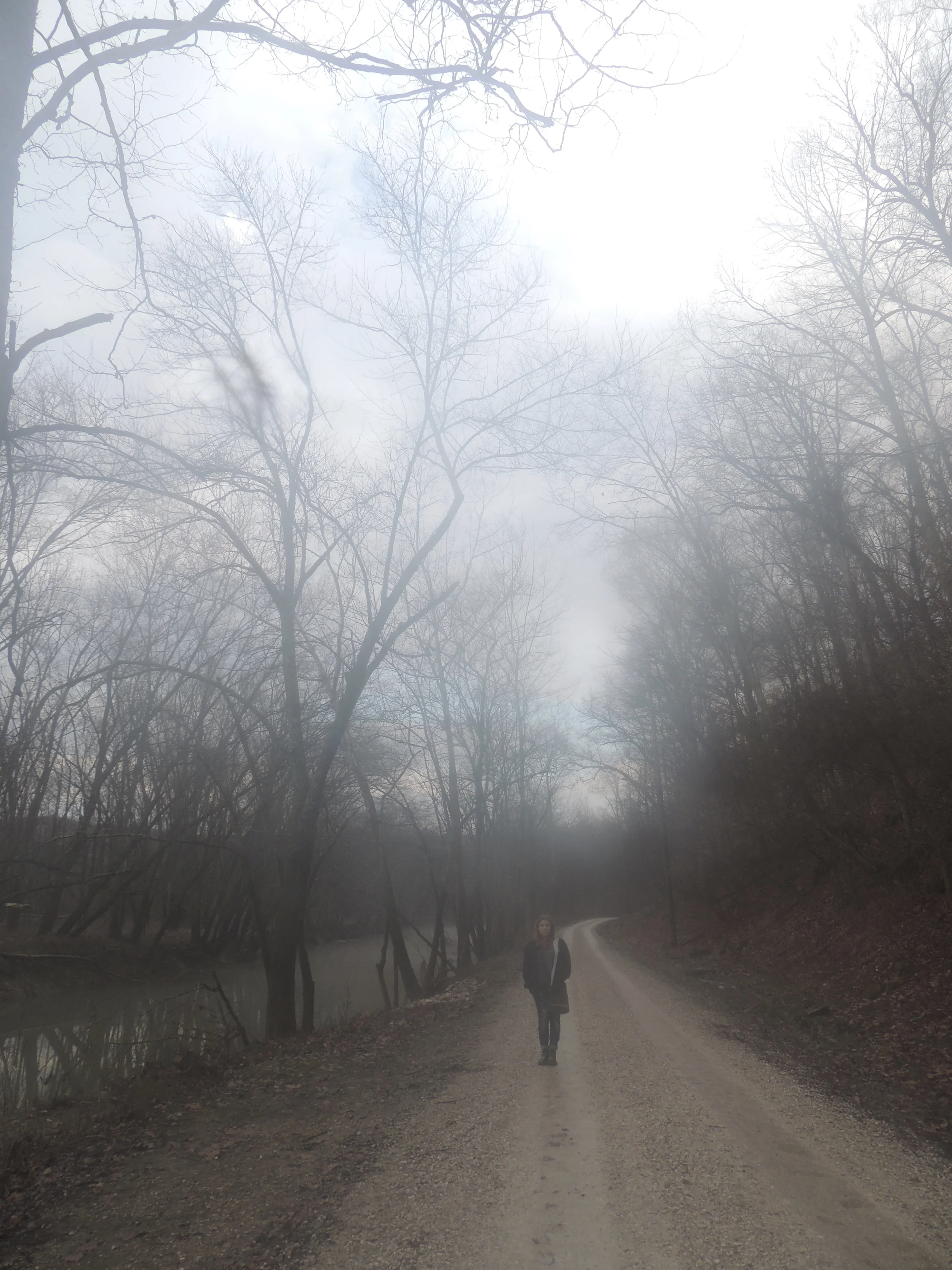 DSCN4601.jpg