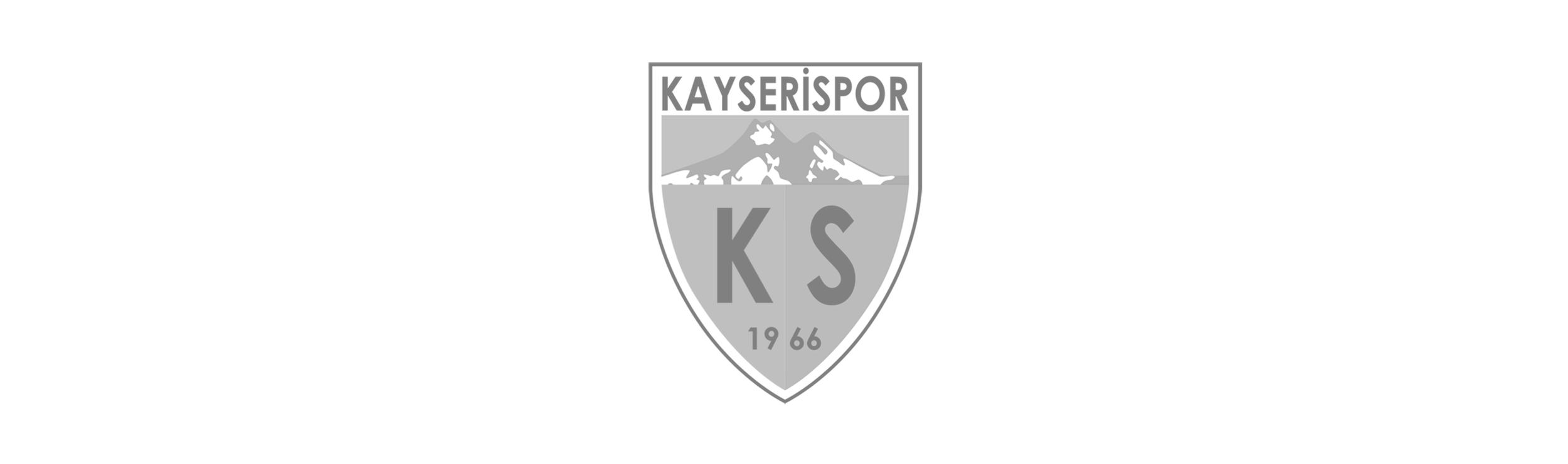 kayserispor.png