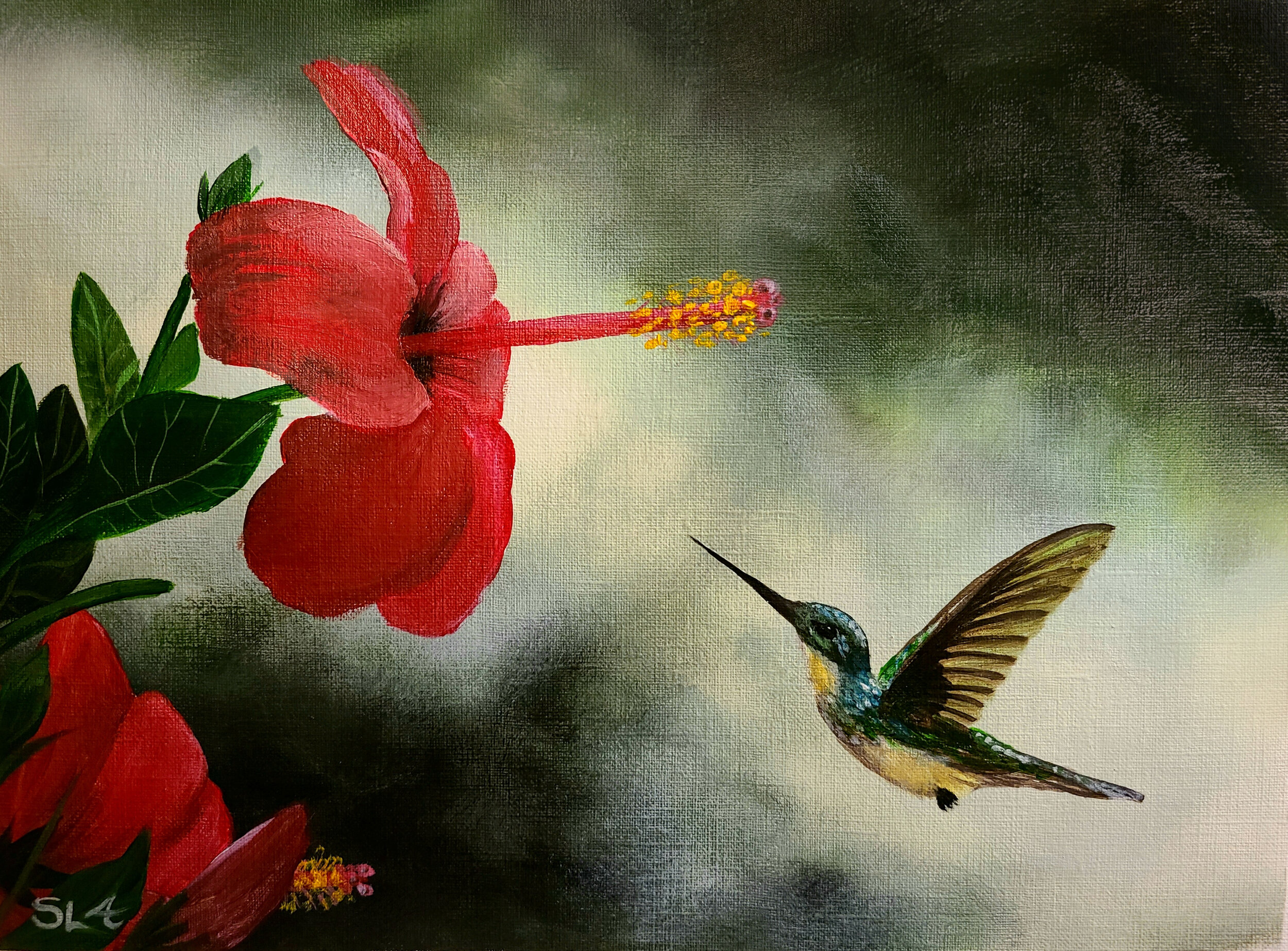 Hummingbird Hibiscus.jpg