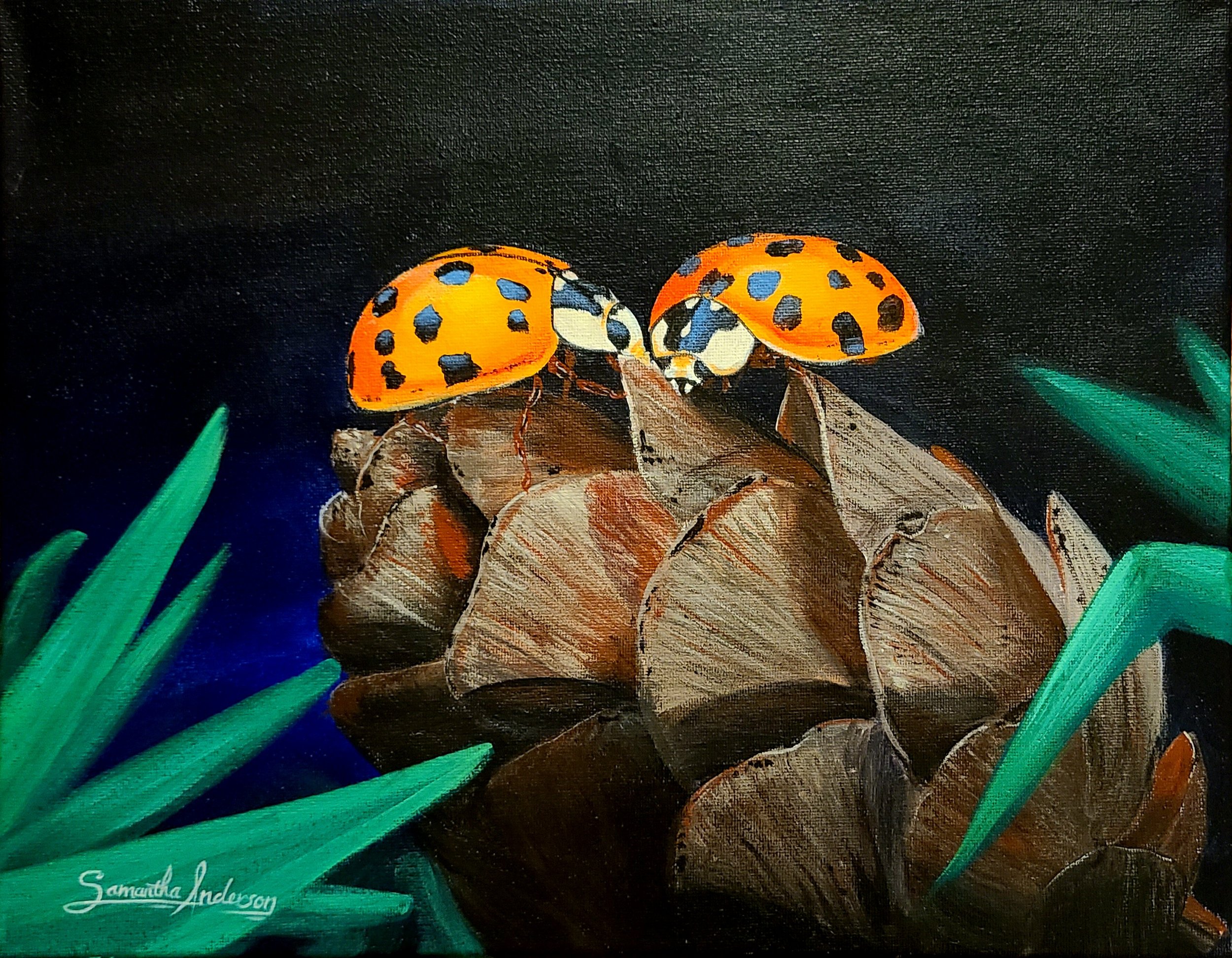 Lovebug Ladybugs - My Painting.jpg
