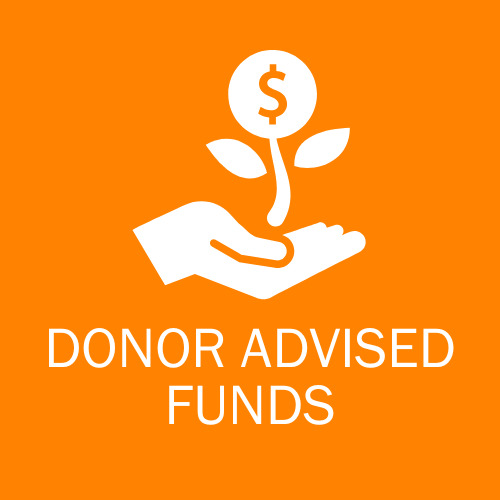 DONOR ADVISED FUNDS