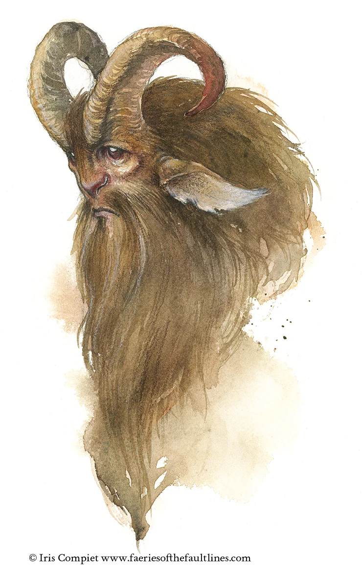 Faun 2