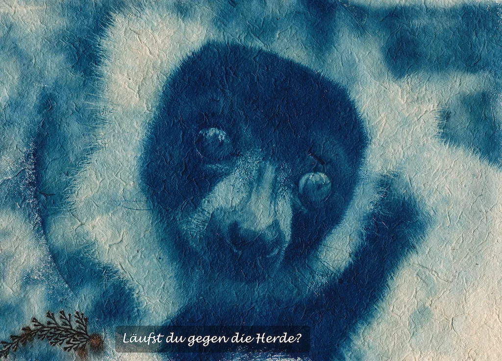 9t_Ein Blick.jpg