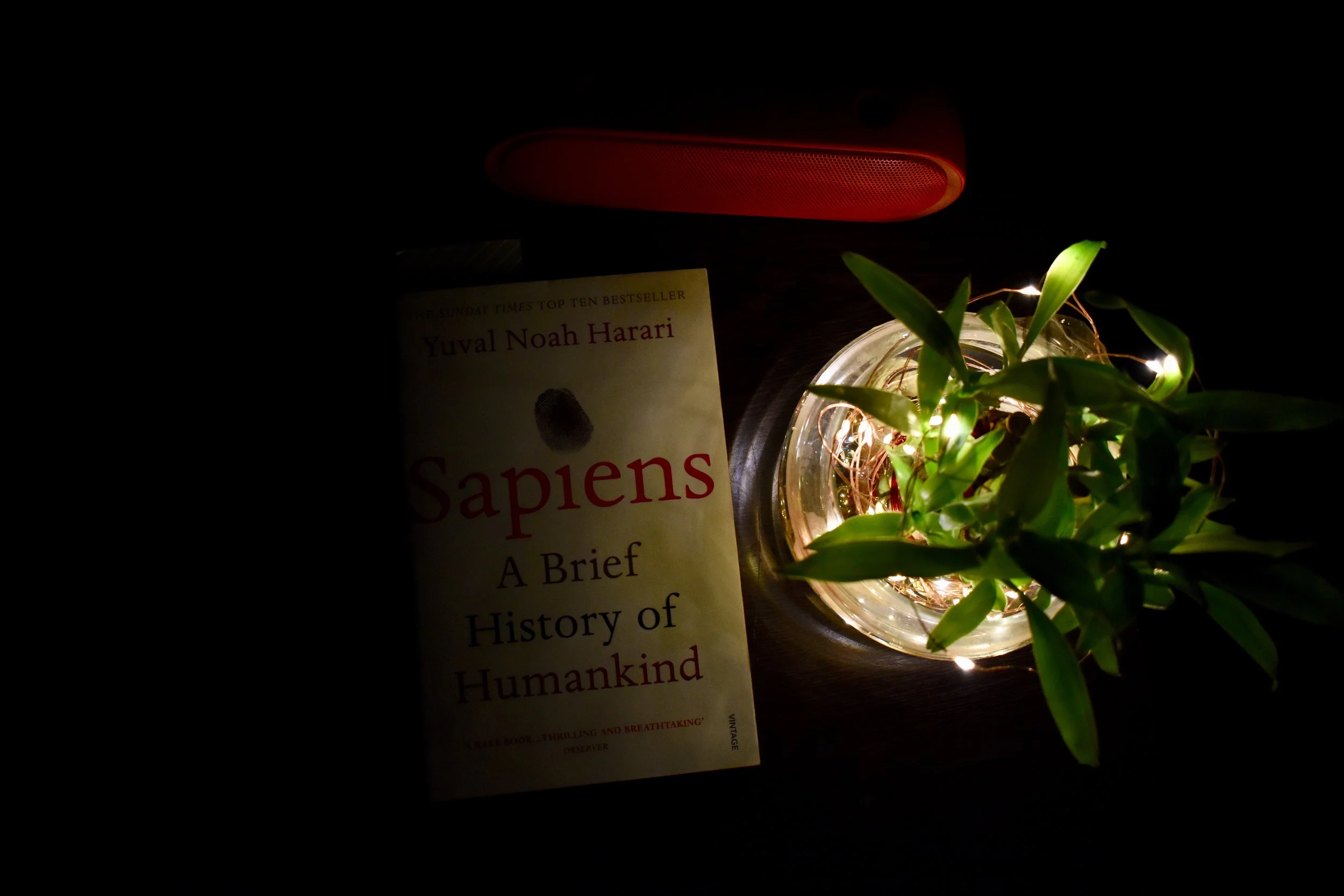 Playing the Educational Long Game i.e. When Idealism Beats Out Pragmatism