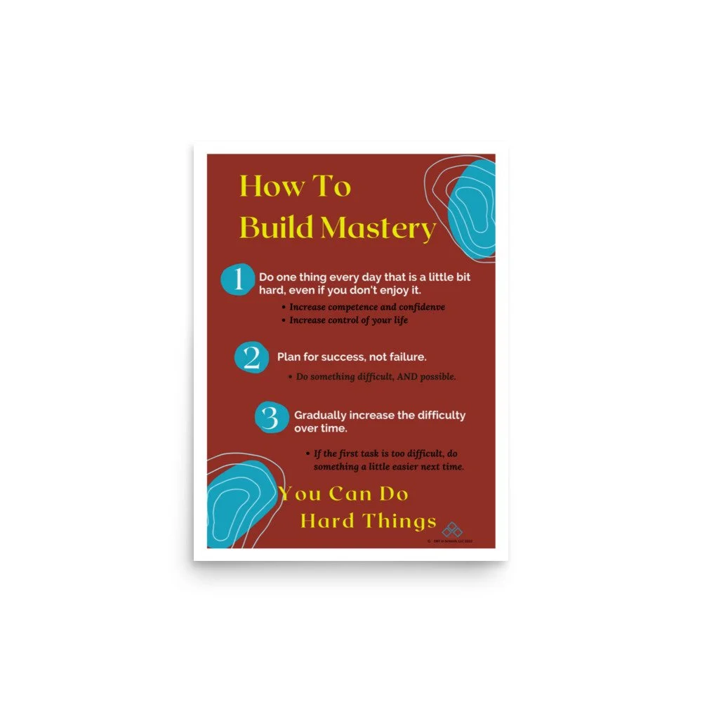 How To Build Mastery (Blue) — DBT in Schools