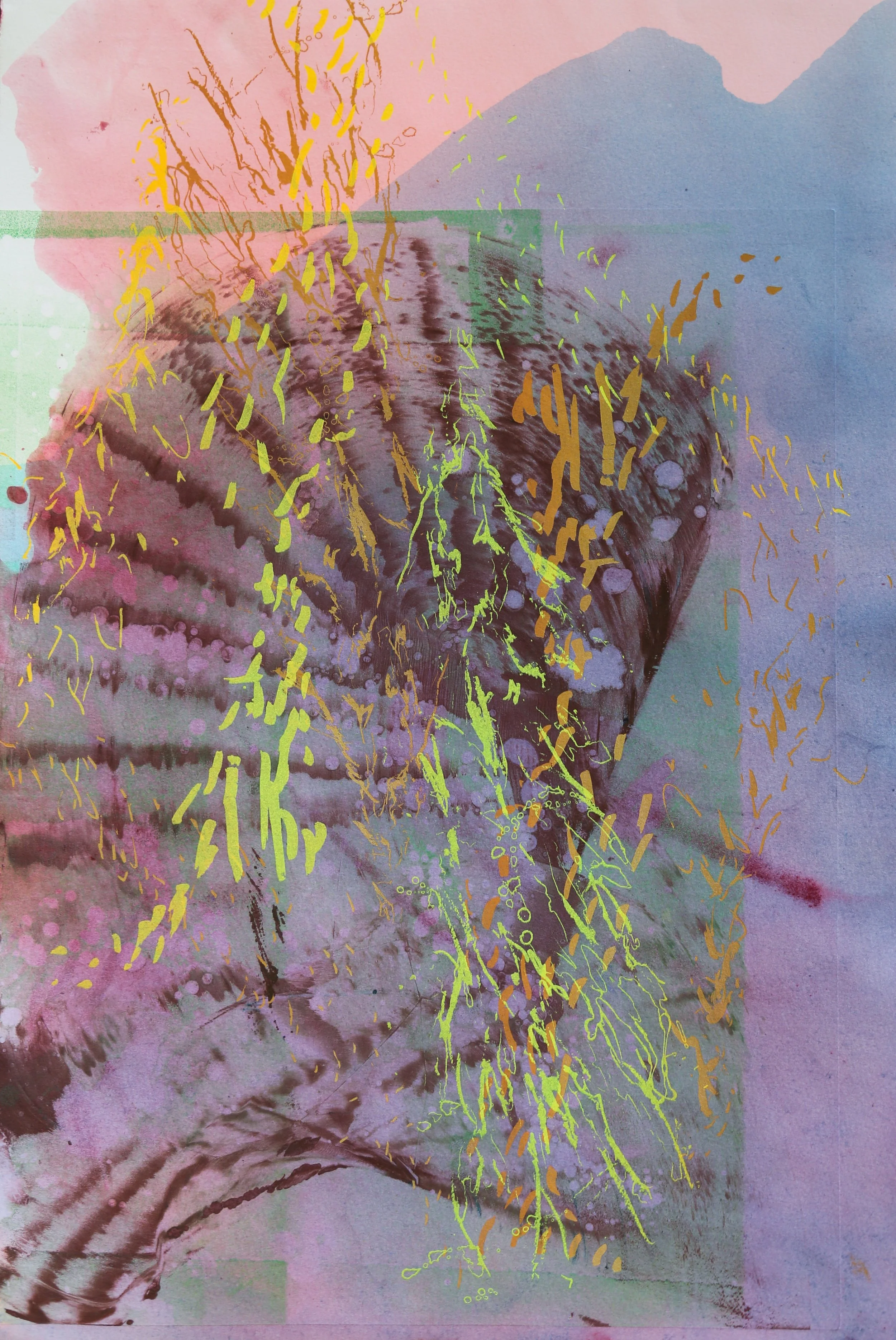 CONVERGENCE: Challenging Anthropocentrism exhibit