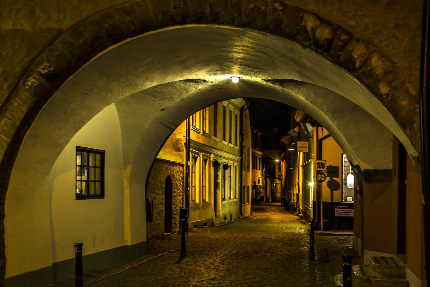NIGHT SCENE