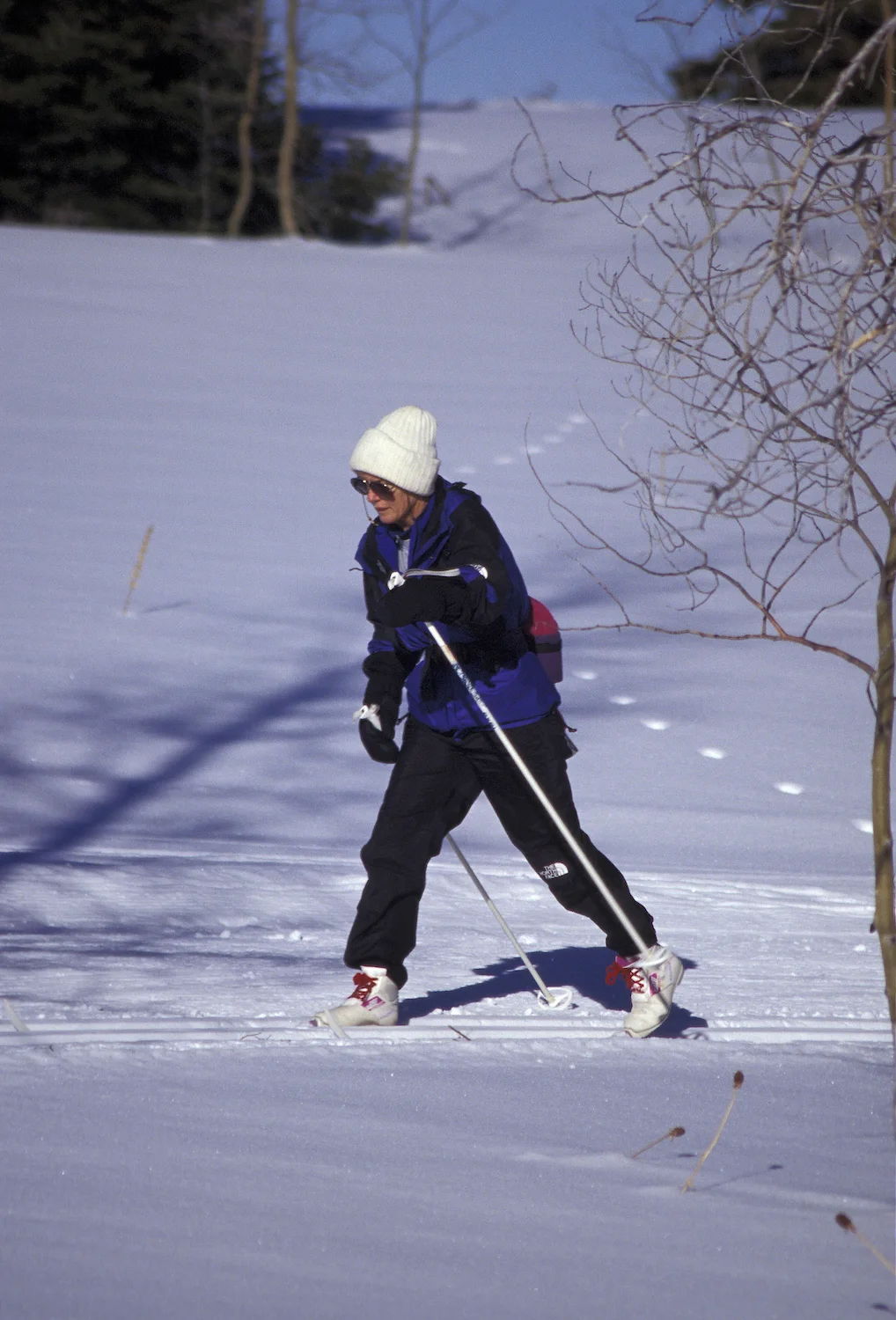 DIANE SKIING