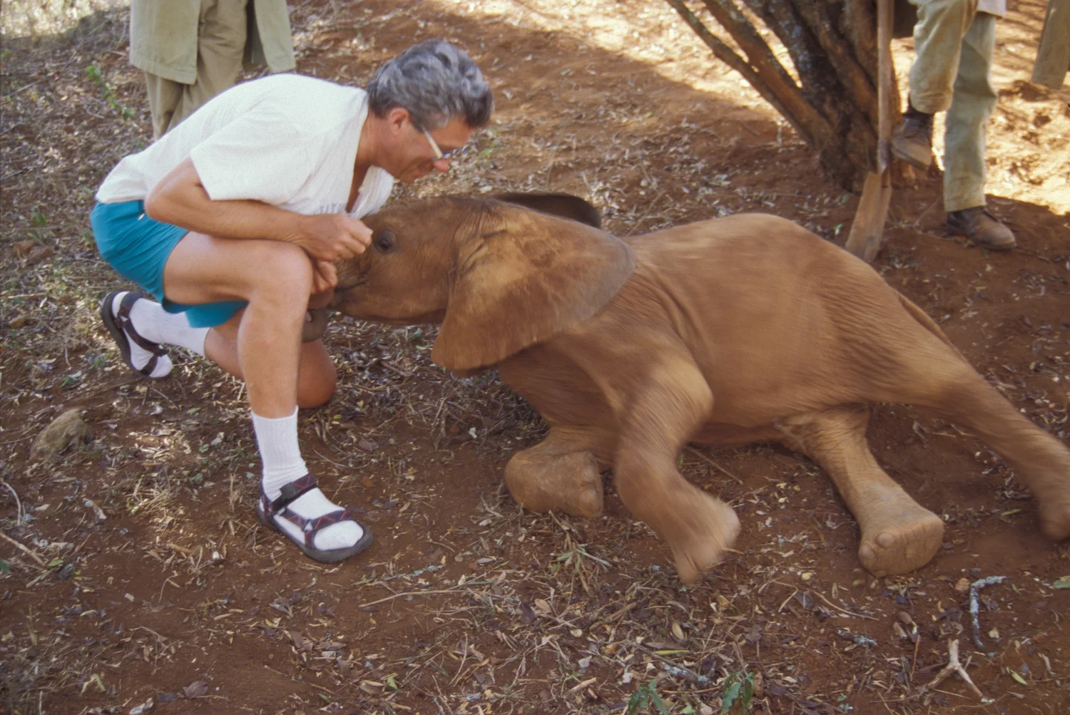 ELEPHANT ORPHANAGE