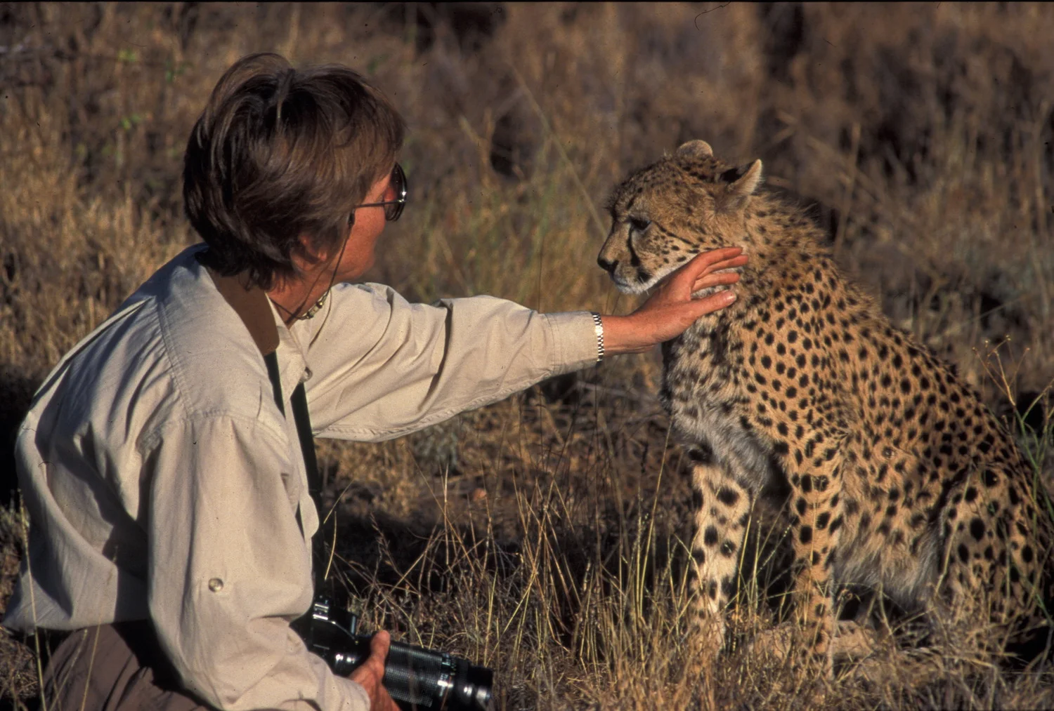 DIANE PETTING WILD CHEETAH
