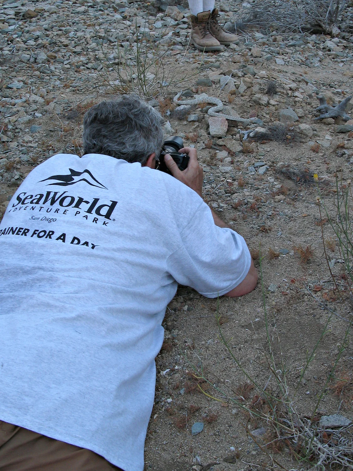 GETTING CLOSE TO RATTLESNAKE