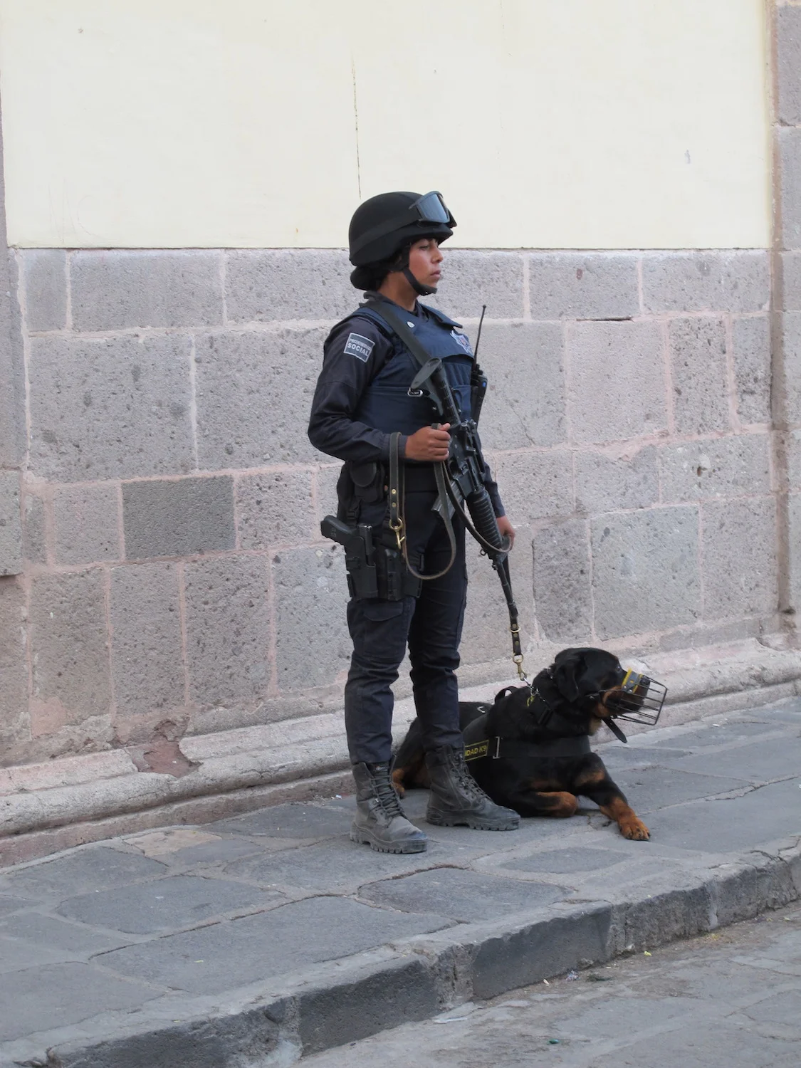 POLICE GUARD (FEMALE)