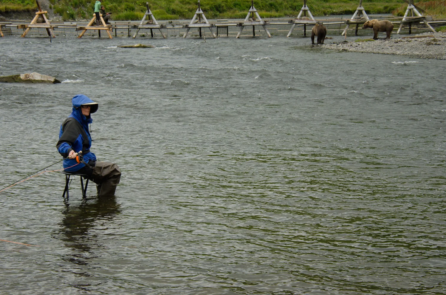 FISHING WITH BEARS