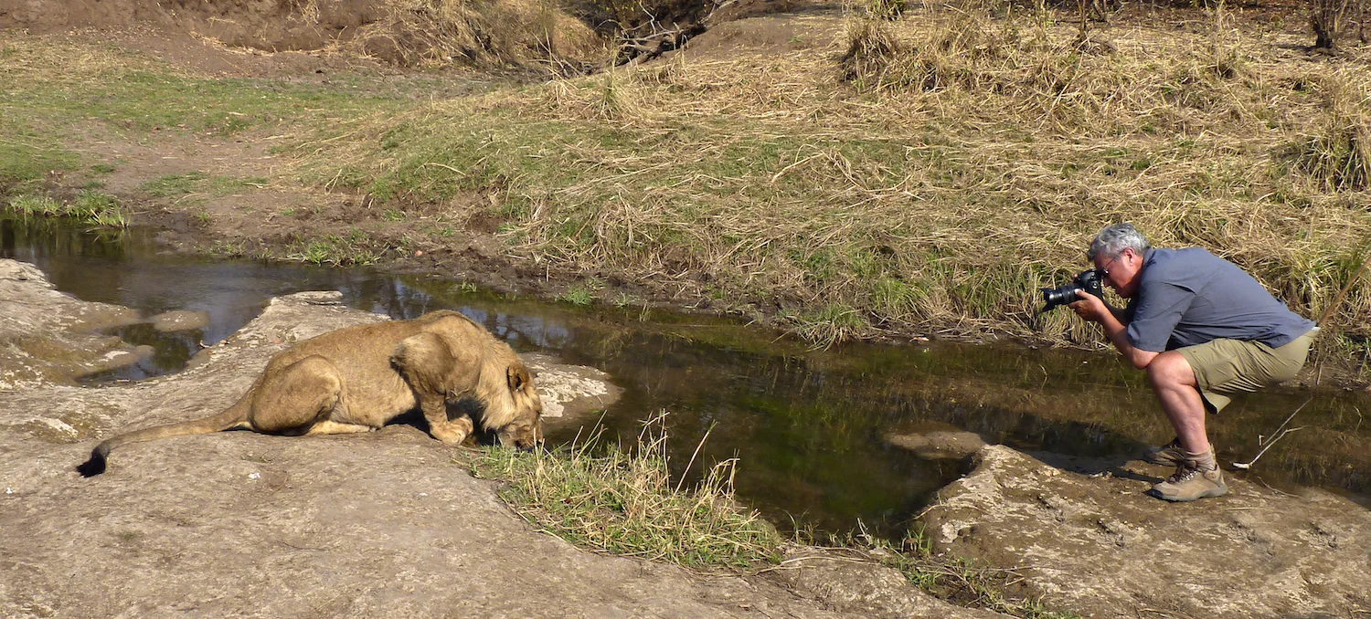 WALKING WITH LIONS