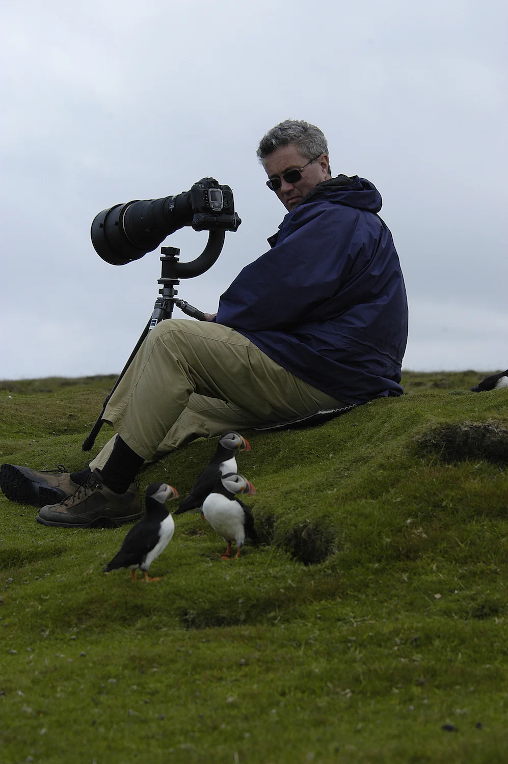 BEFRIENDING PUFFINS
