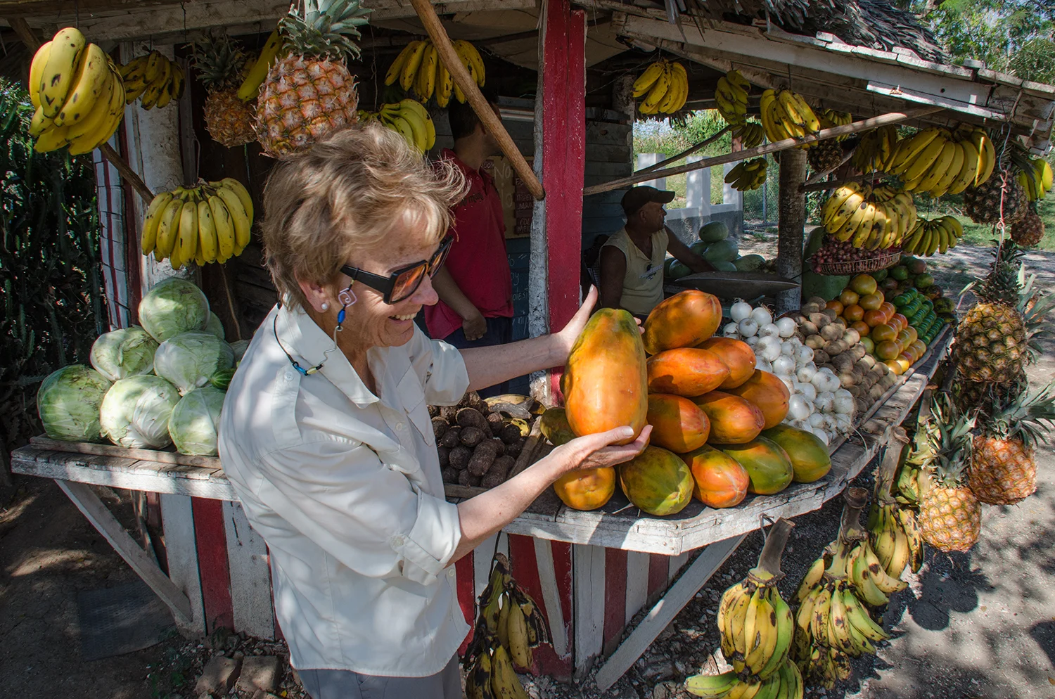 PICKING FRUIT