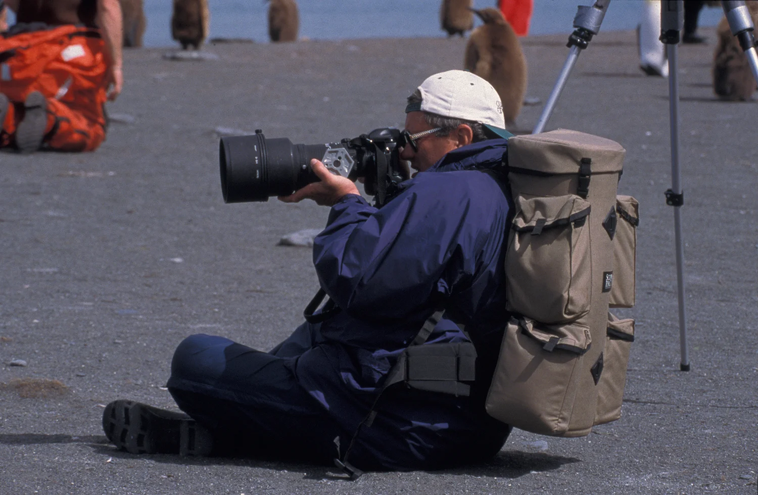 SITTING AMONG THE PENGUINS