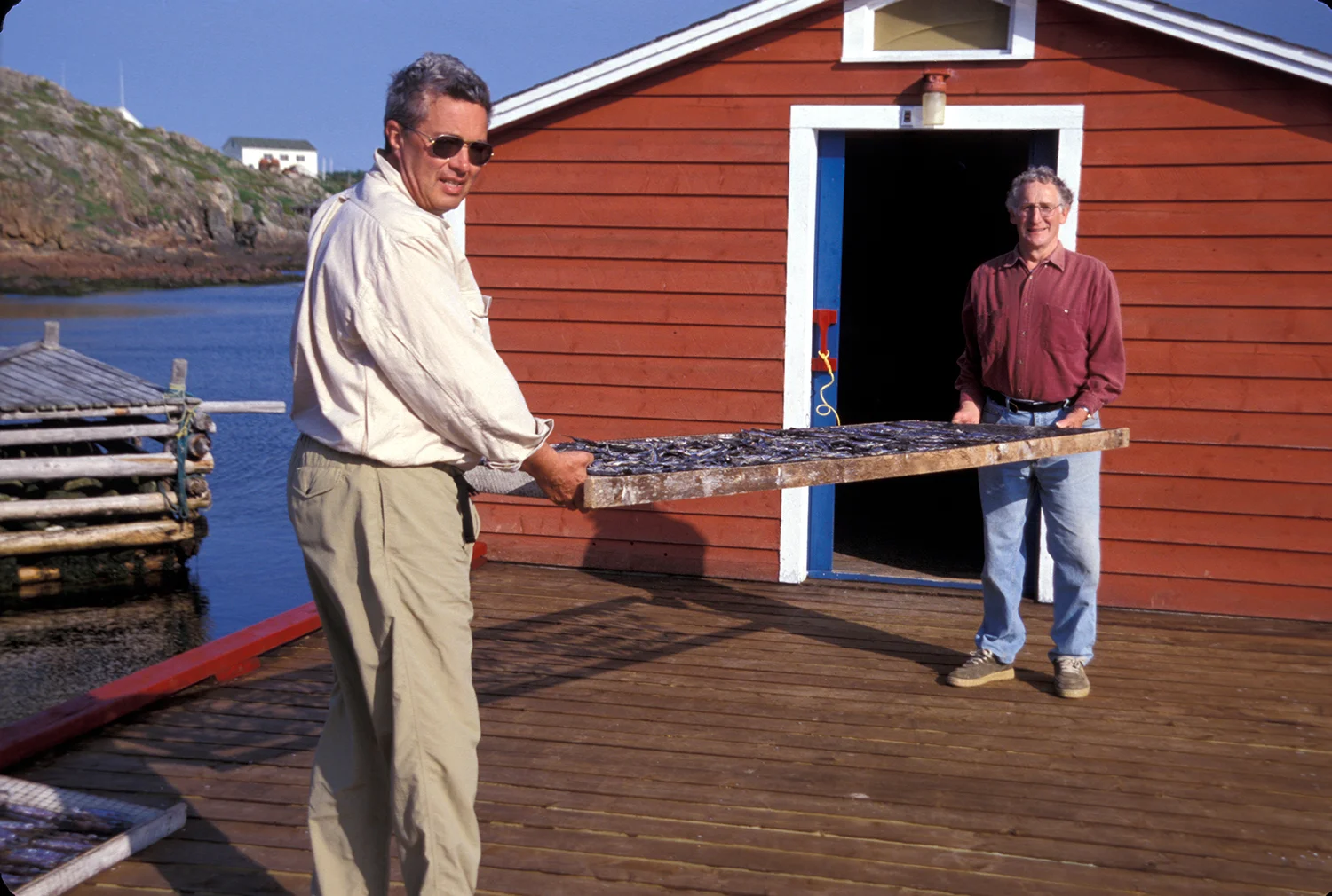 DRYING FISH