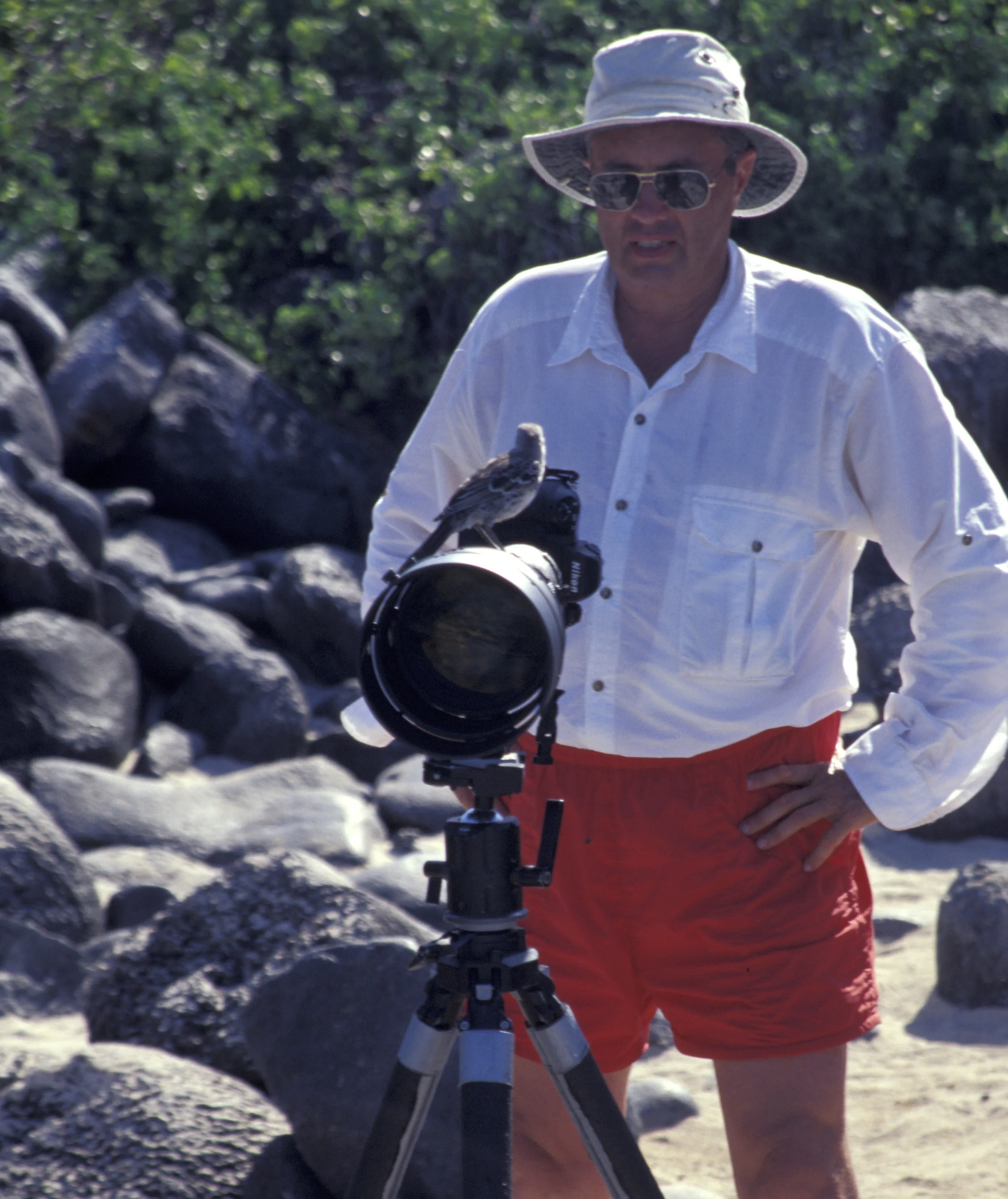 TAKE THE PICTURE ALREADY