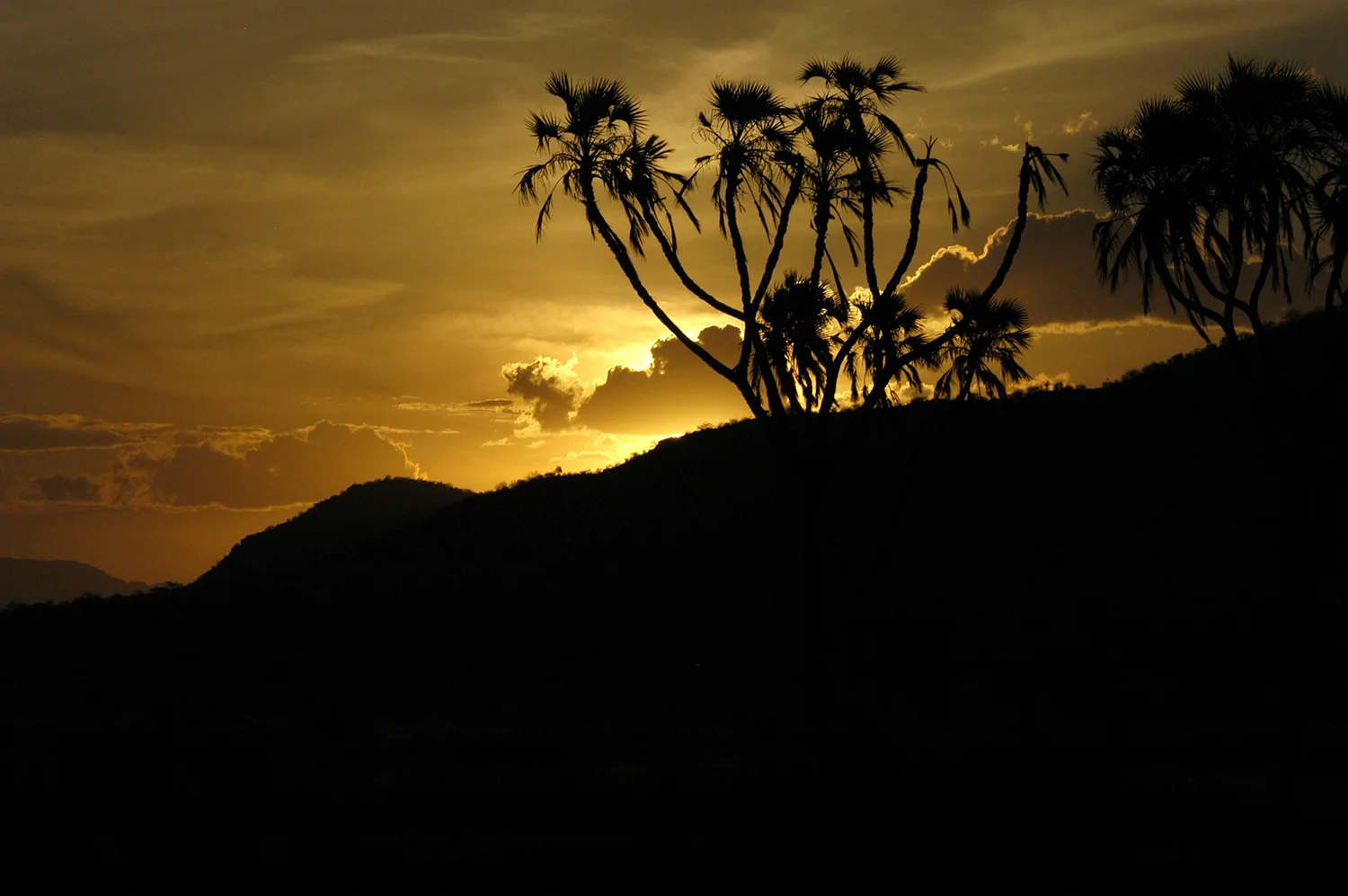 AFRICAN SUNSET