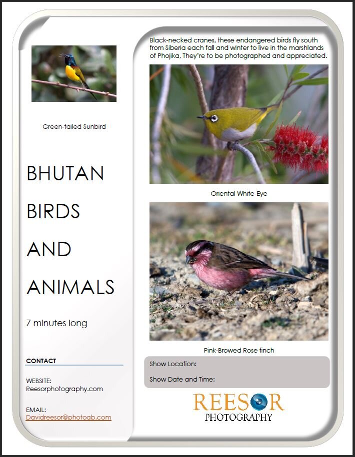 Bhutan Birds and Animals