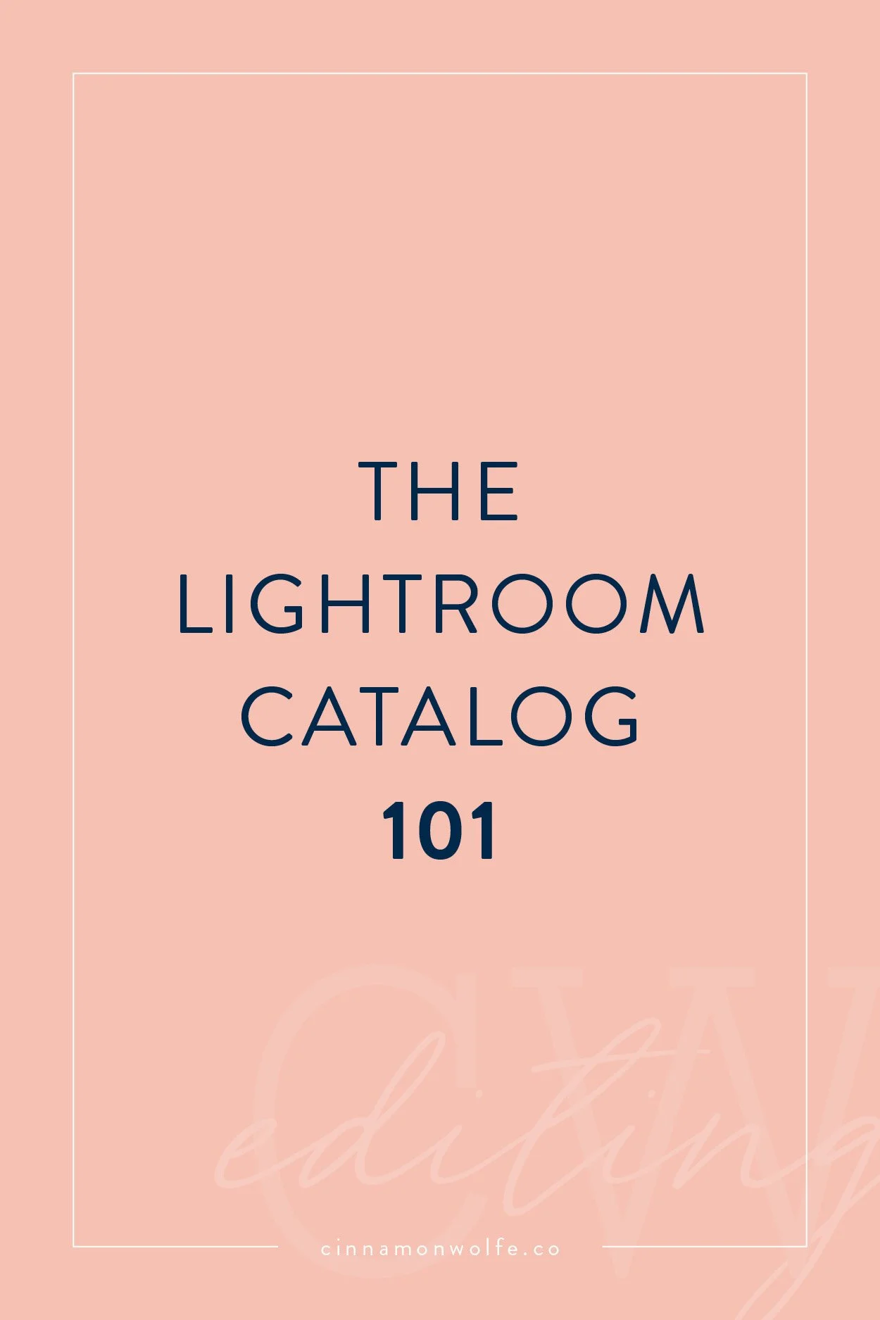 The Lightroom Catalog 101 