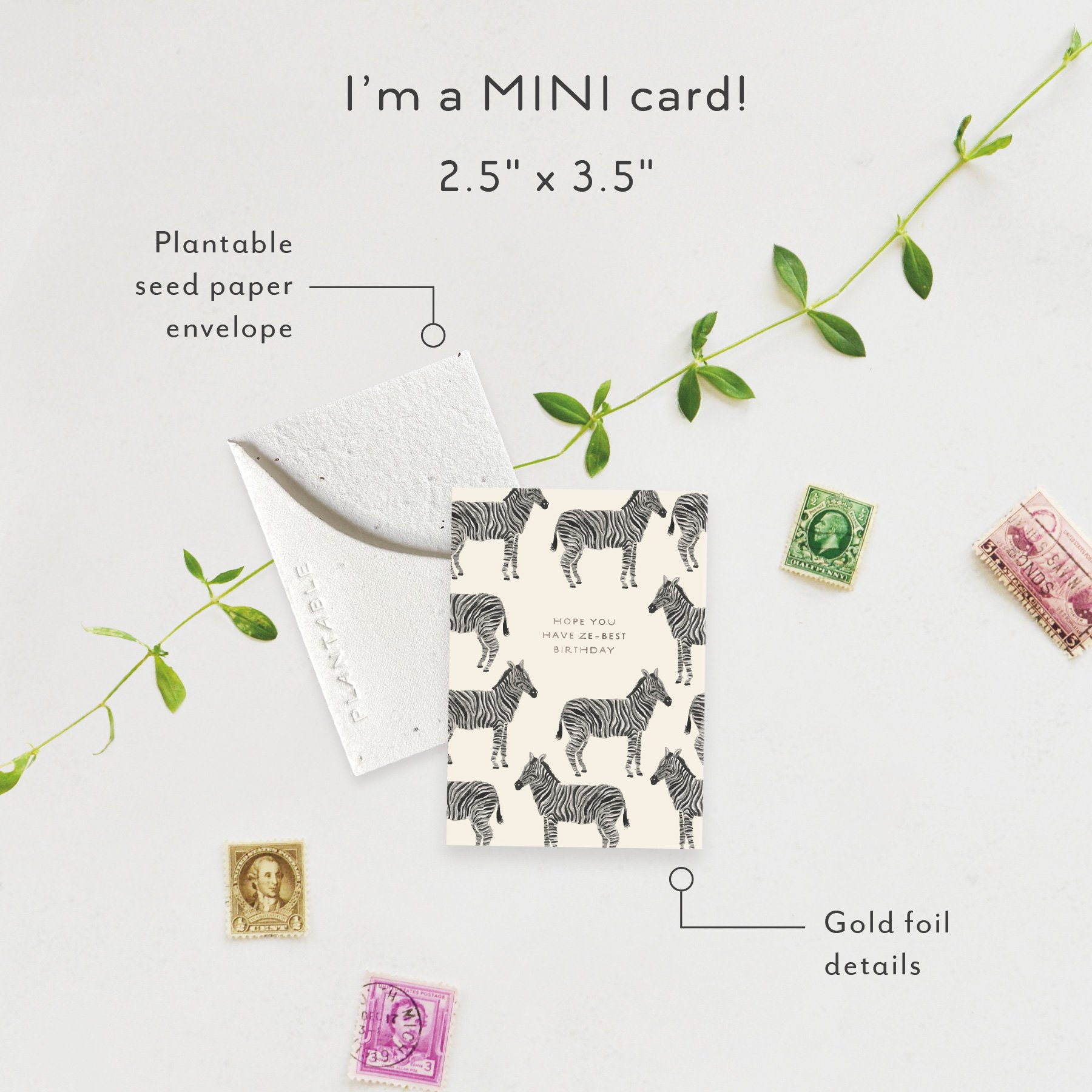 Ze-best Sprout | Mini Birthday Card | SPR68692 *NEW