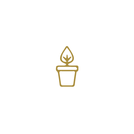planting-icons-step-4.png