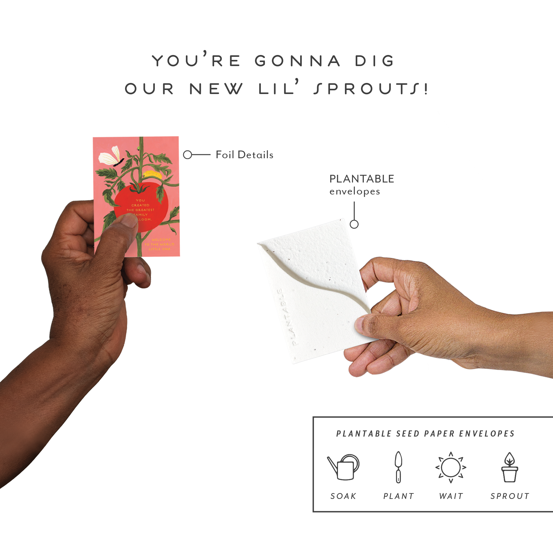 SPR104917 IMG4.png