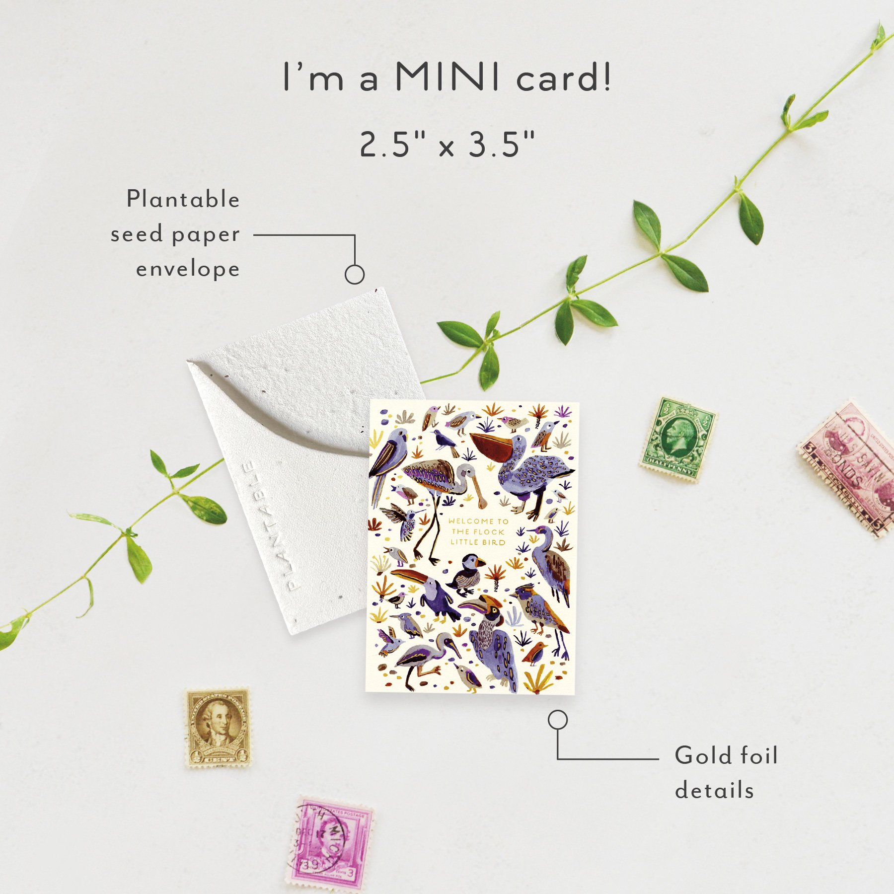 Little Bird Sprout | Mini Baby Card | SPR68602 *NEW