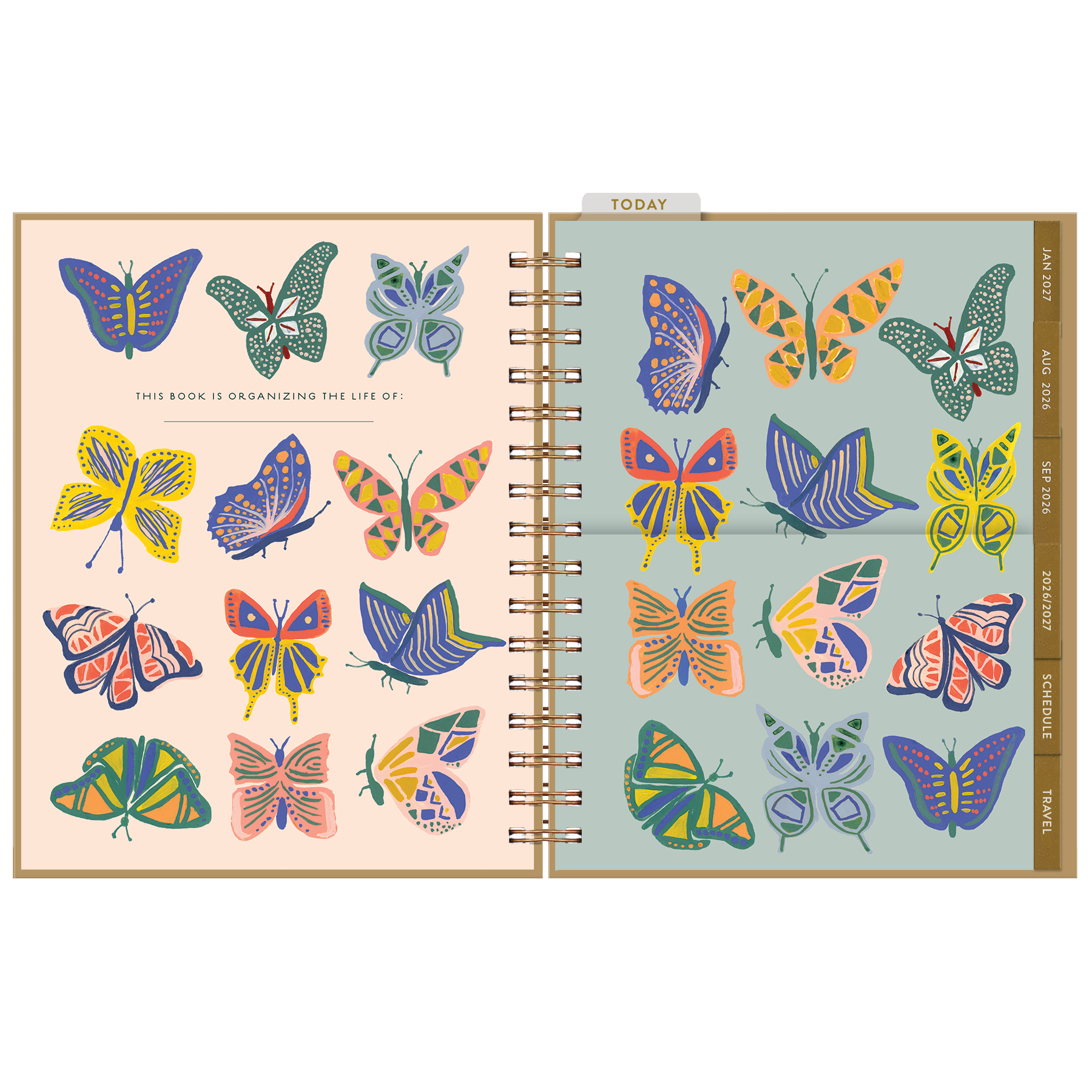 SPL114975 IMG3.png