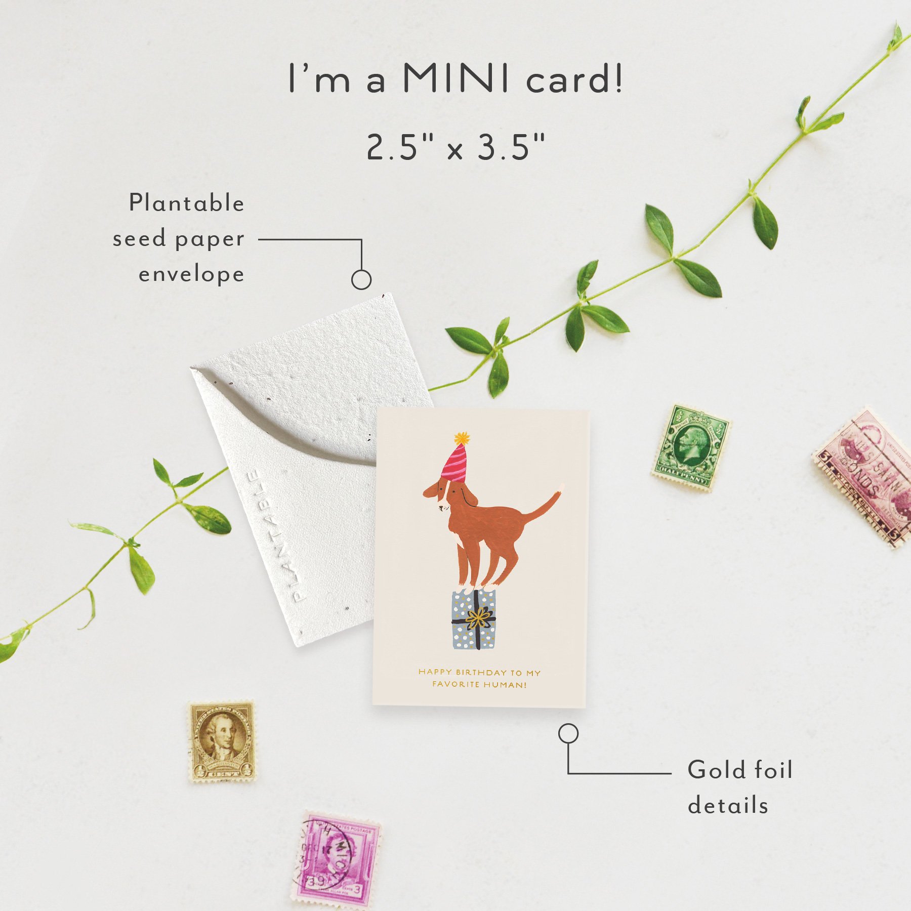 Birthday Dog | Mini Birthday Card | SPR94803 *NEW