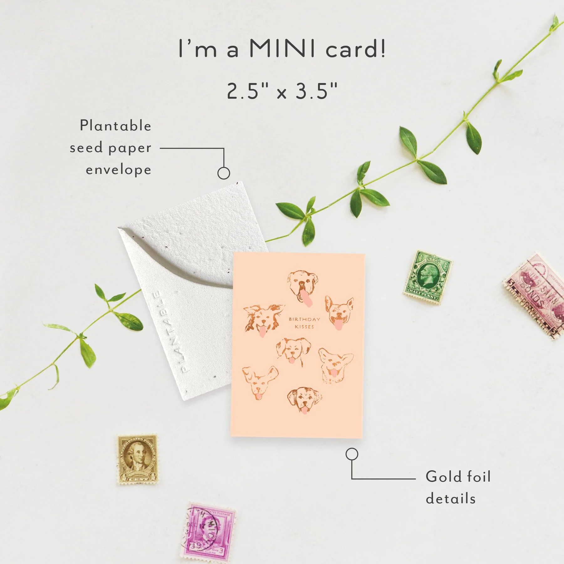 Dog Kisses Sprout | Mini Birthday Card | SPR85902 *NEW