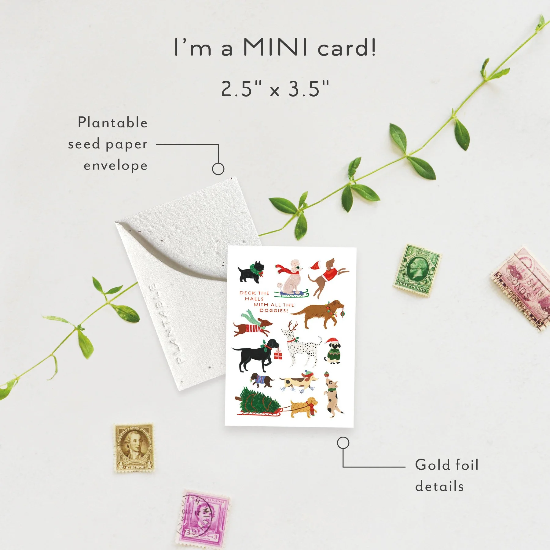 12 Dogs of Christmas Sprout | Mini Holiday Card | SPR79366 *NEW (Copy)