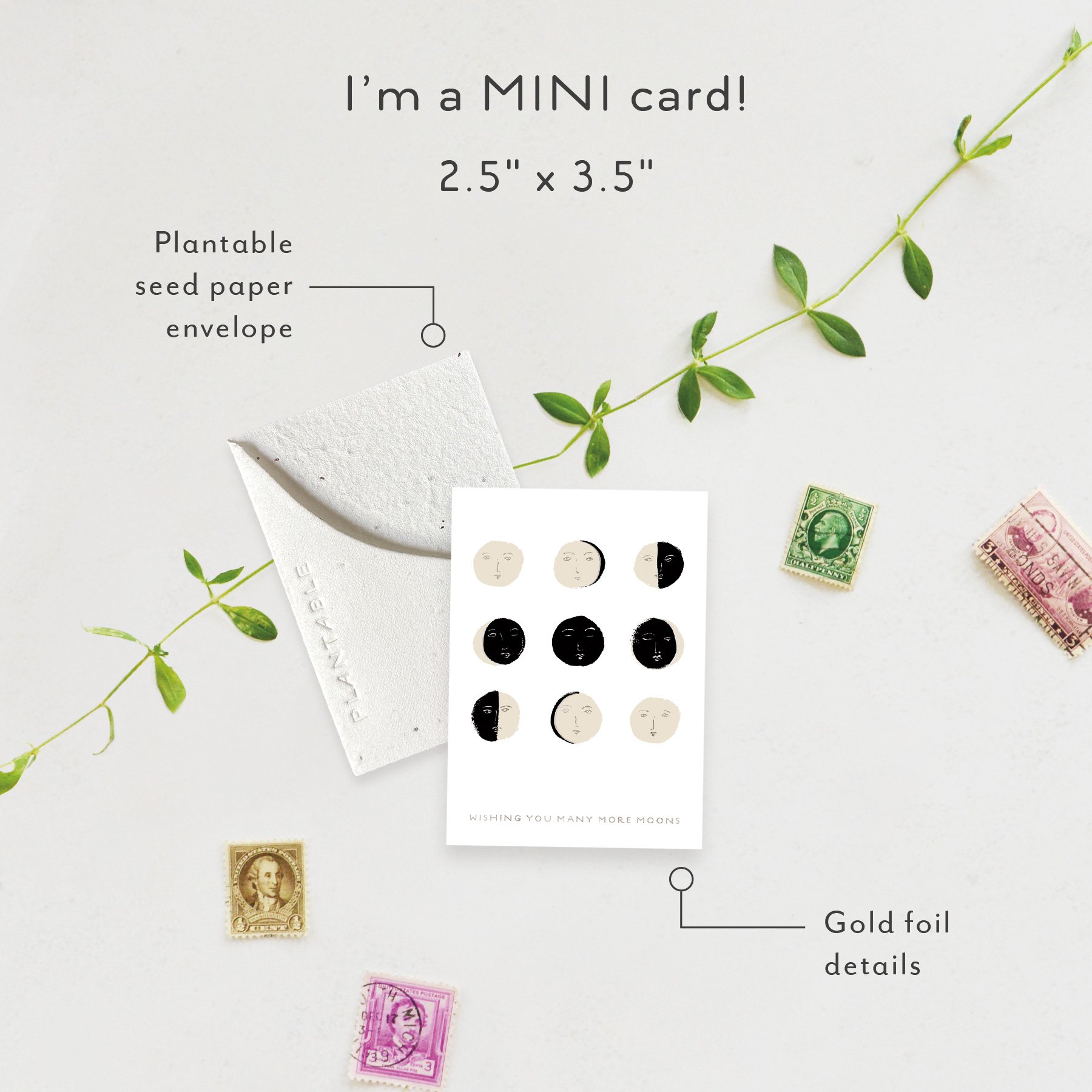 Many Moons Sprout | Mini Birthday Card | SPR60710 *NEW