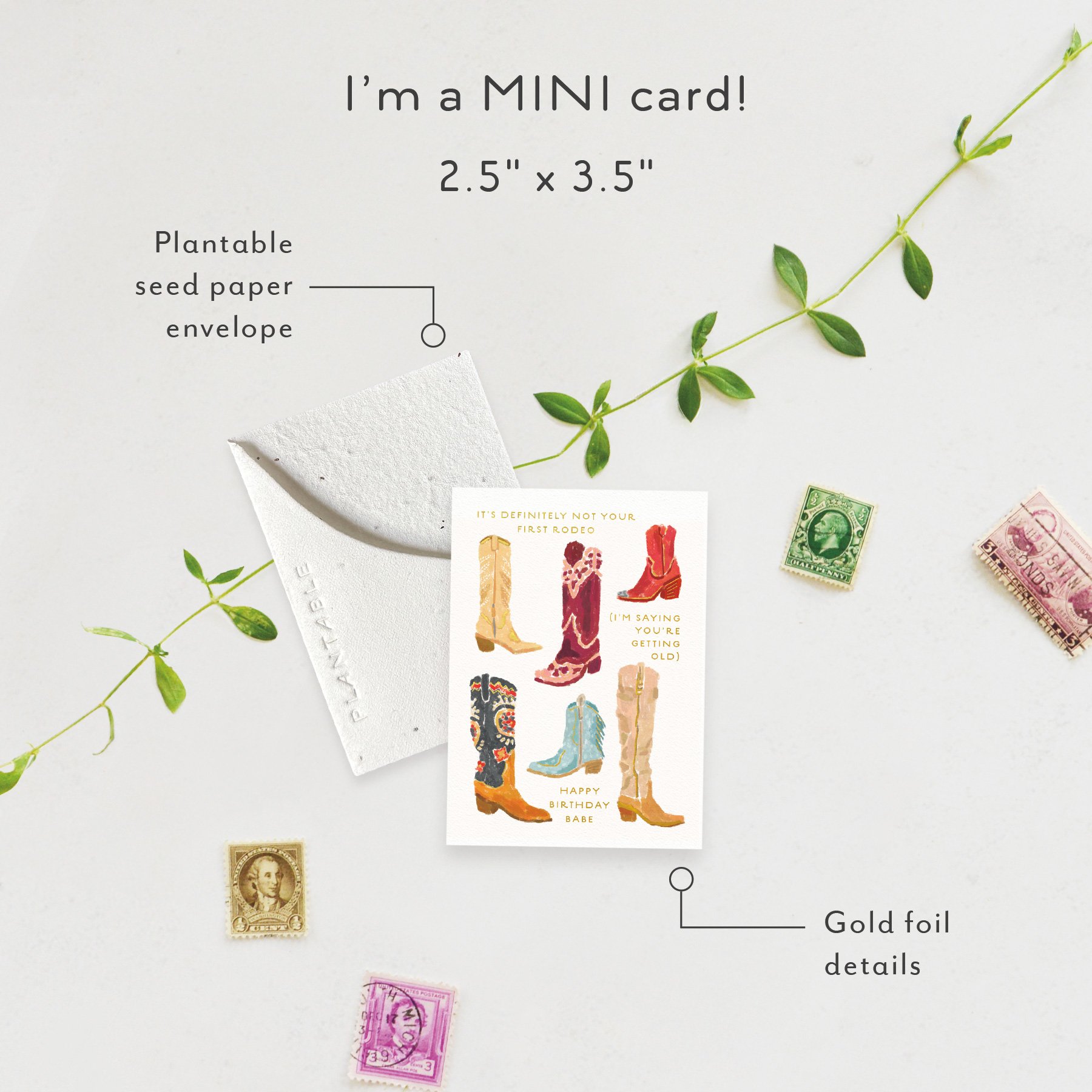 Not Your 1st Rodeo | Birthday Card | SPR108314 *NEW