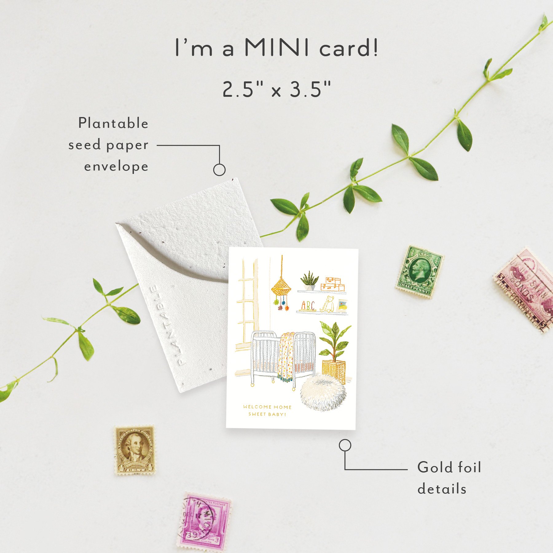 Nursery Sprout | Mini Baby Card | SPR94726 *NEW