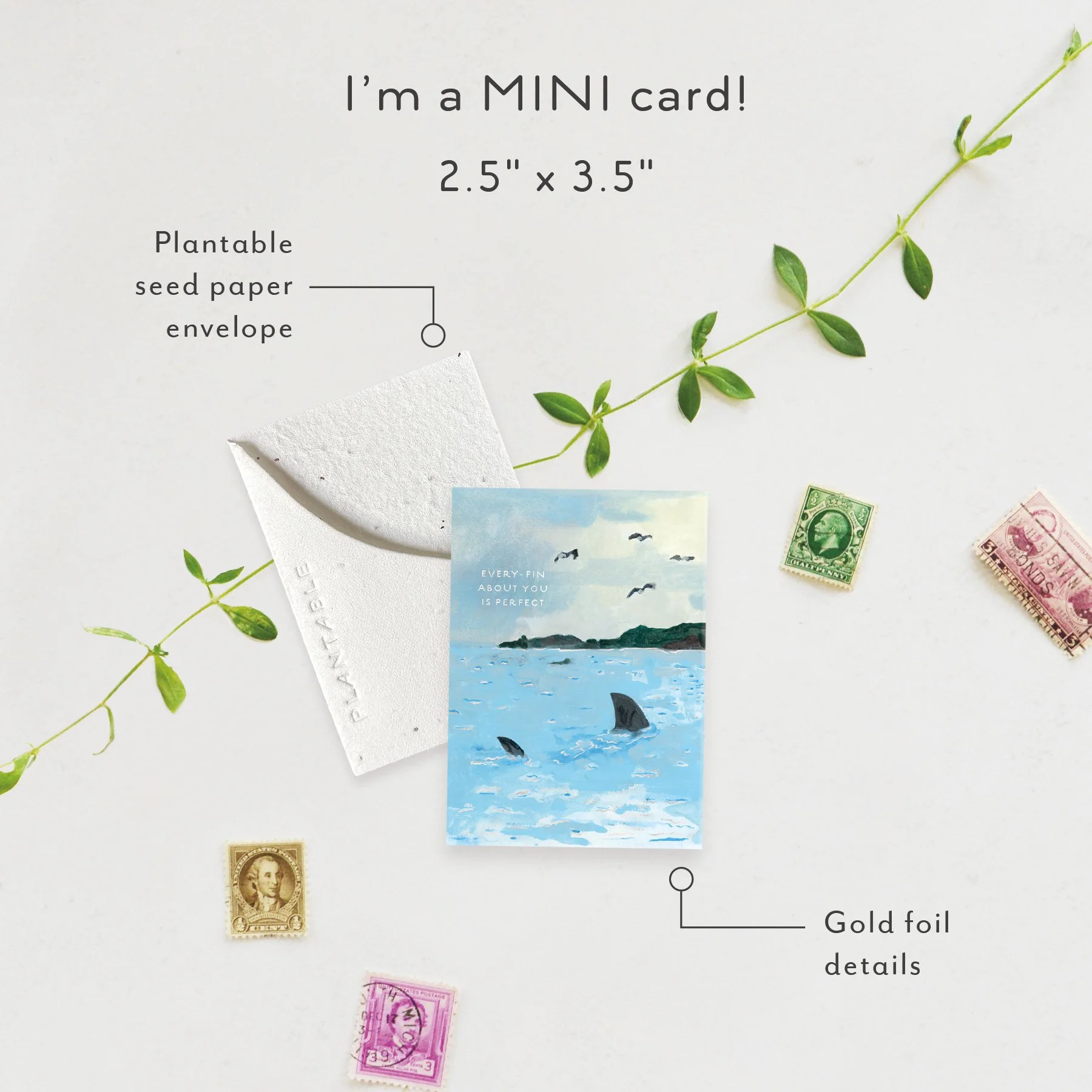 Fin | Love + Friendship Card | SPR114964 *NEW