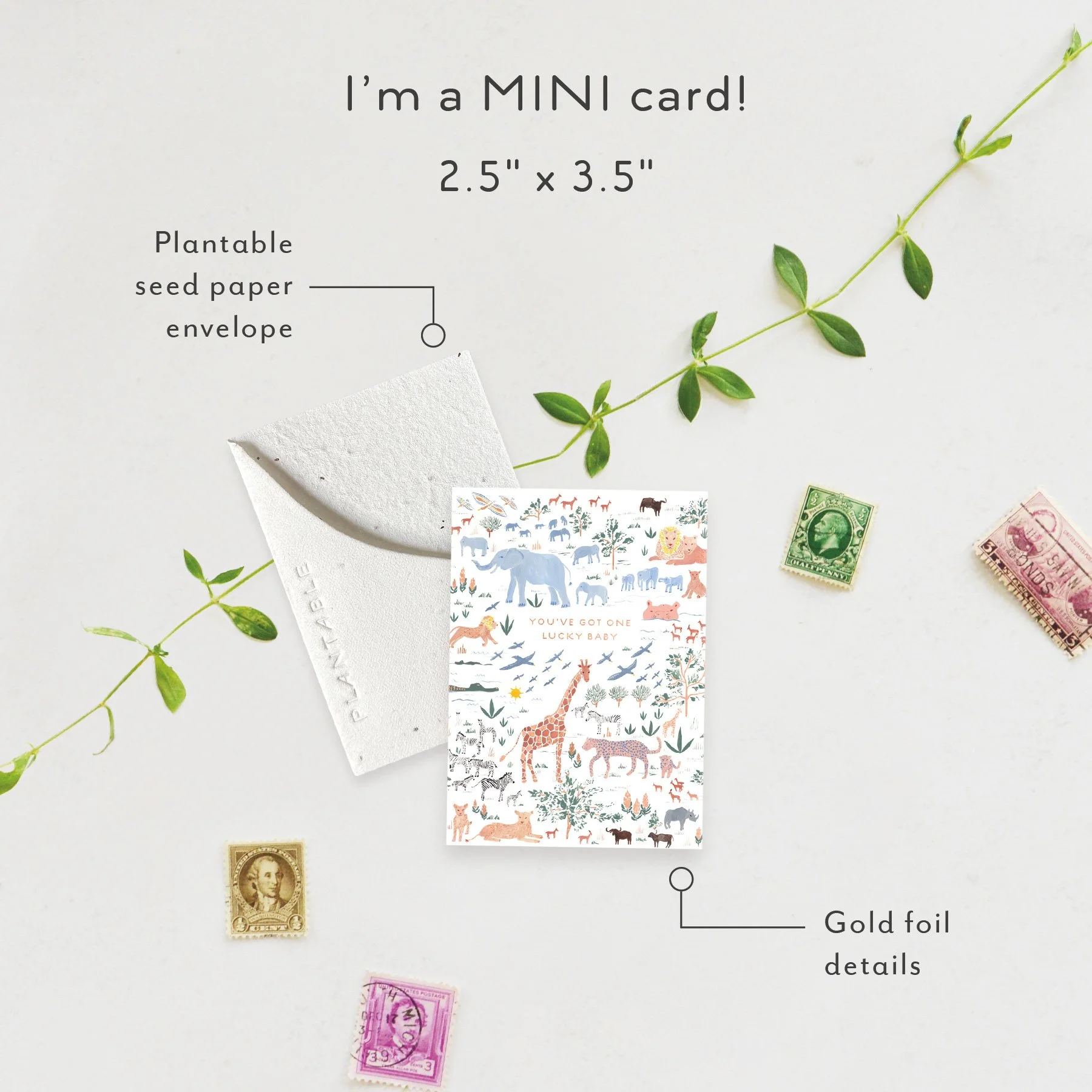 Lucky Baby Sprout | Mini Baby Card | SPR60893 *NEW