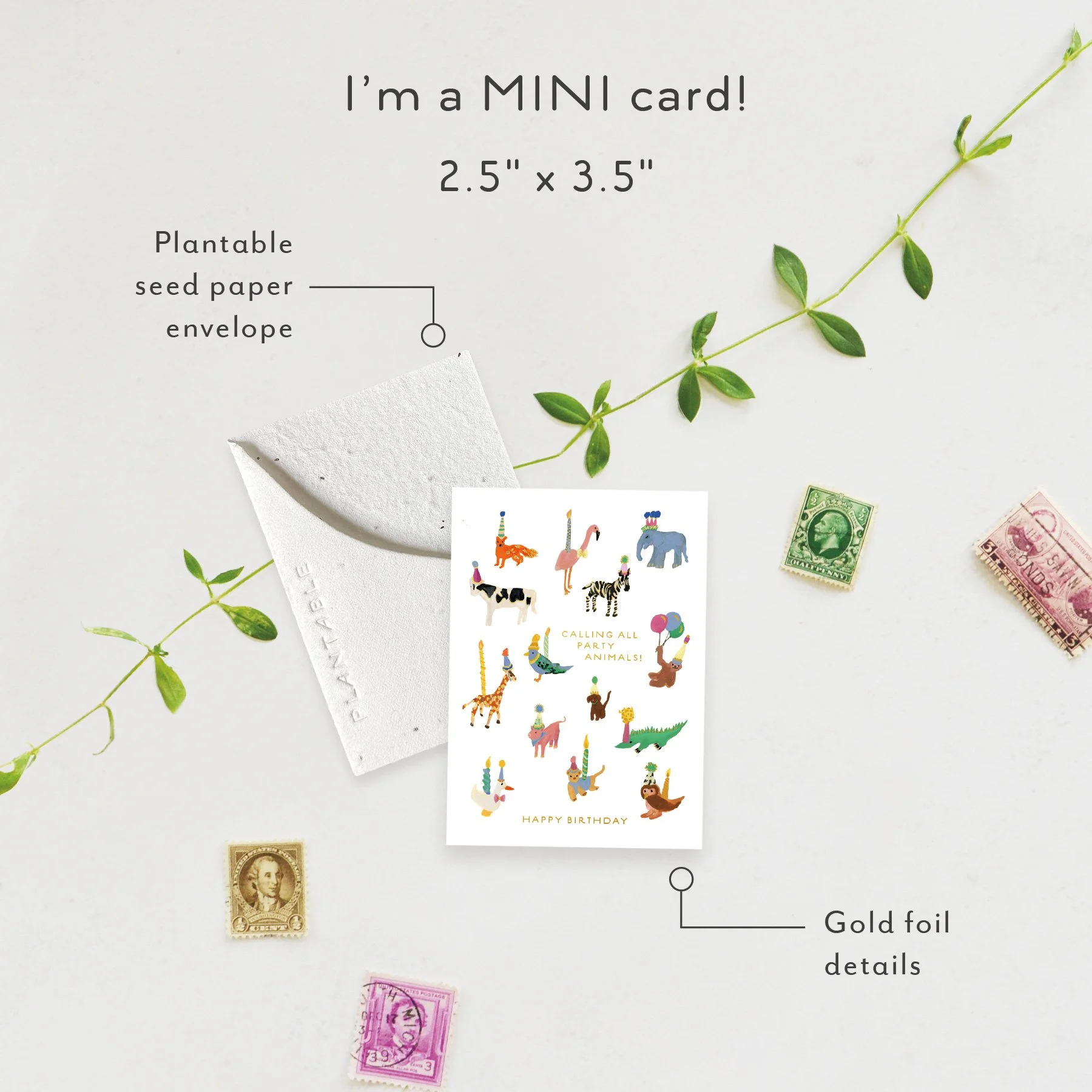 Animal Party Sprout | Mini Birthday Card | SPR104946 *NEW