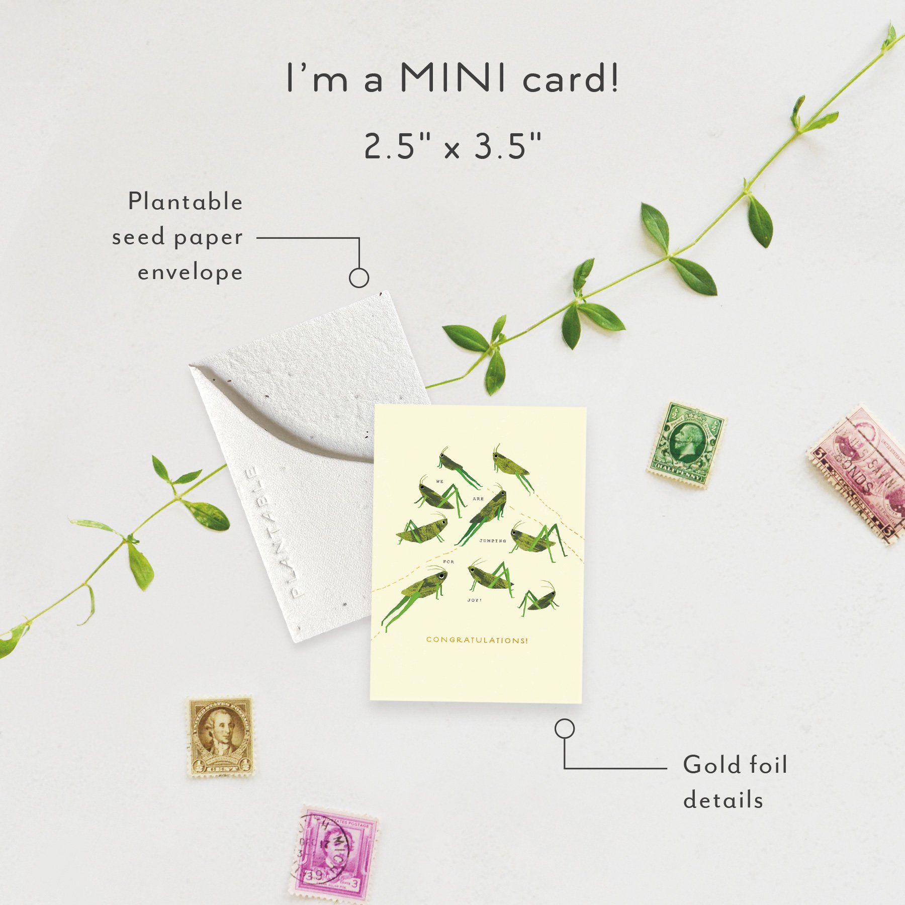 Jumping For Joy | Baby Card | SPR53800 *NEW