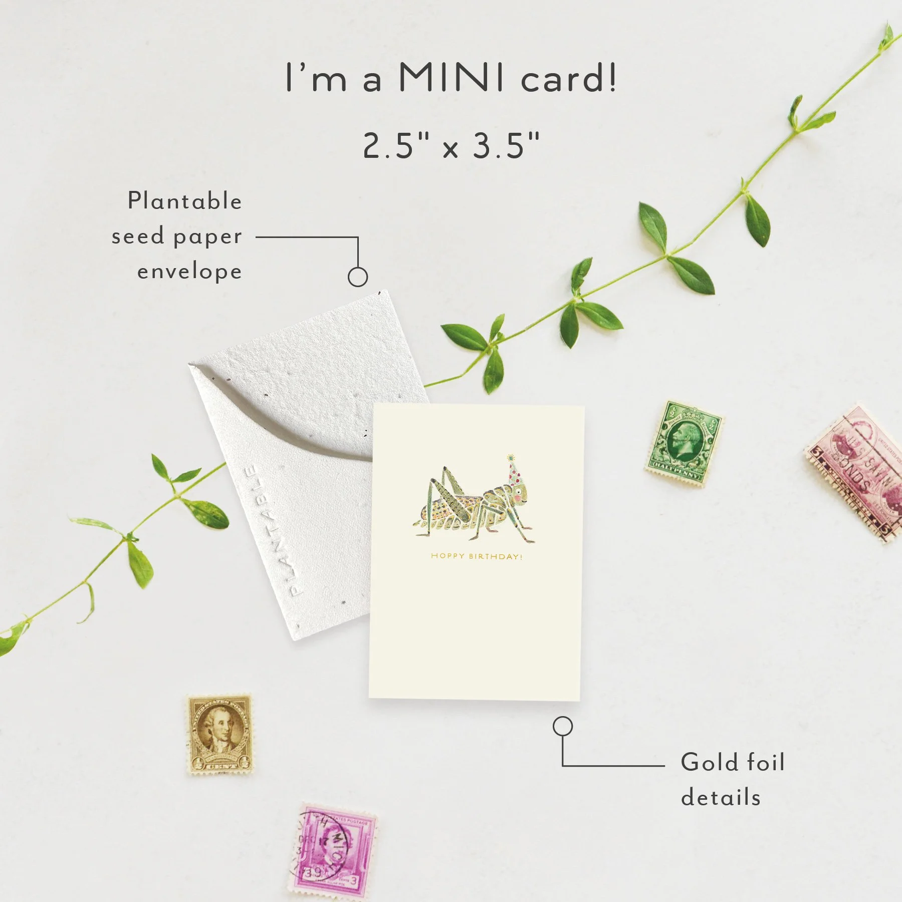 Hoppy Bday | Birthday Card  | SPR114960 *NEW