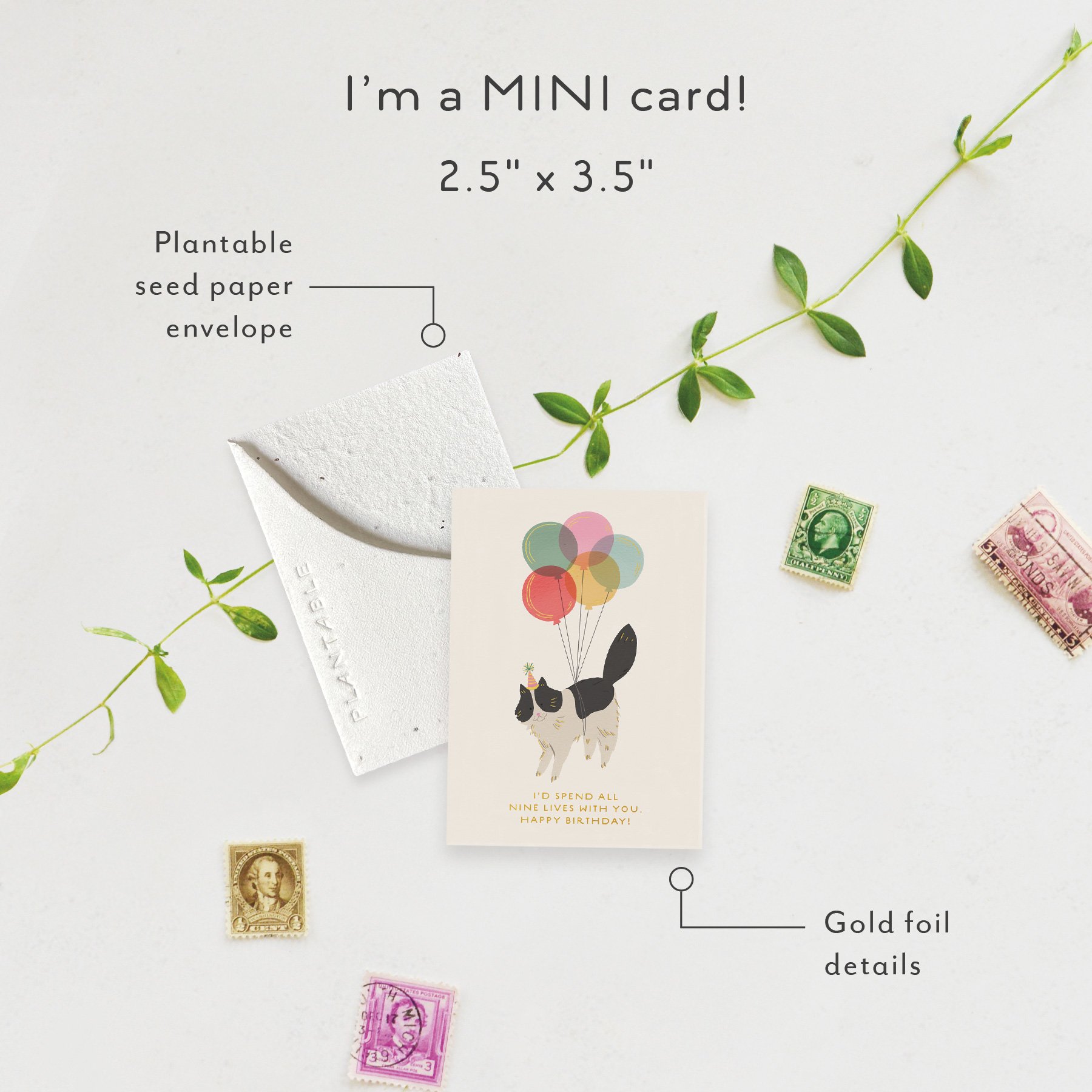 Birthday Kitty Sprout | Mini Birthday Card | SPR94802 *NEW