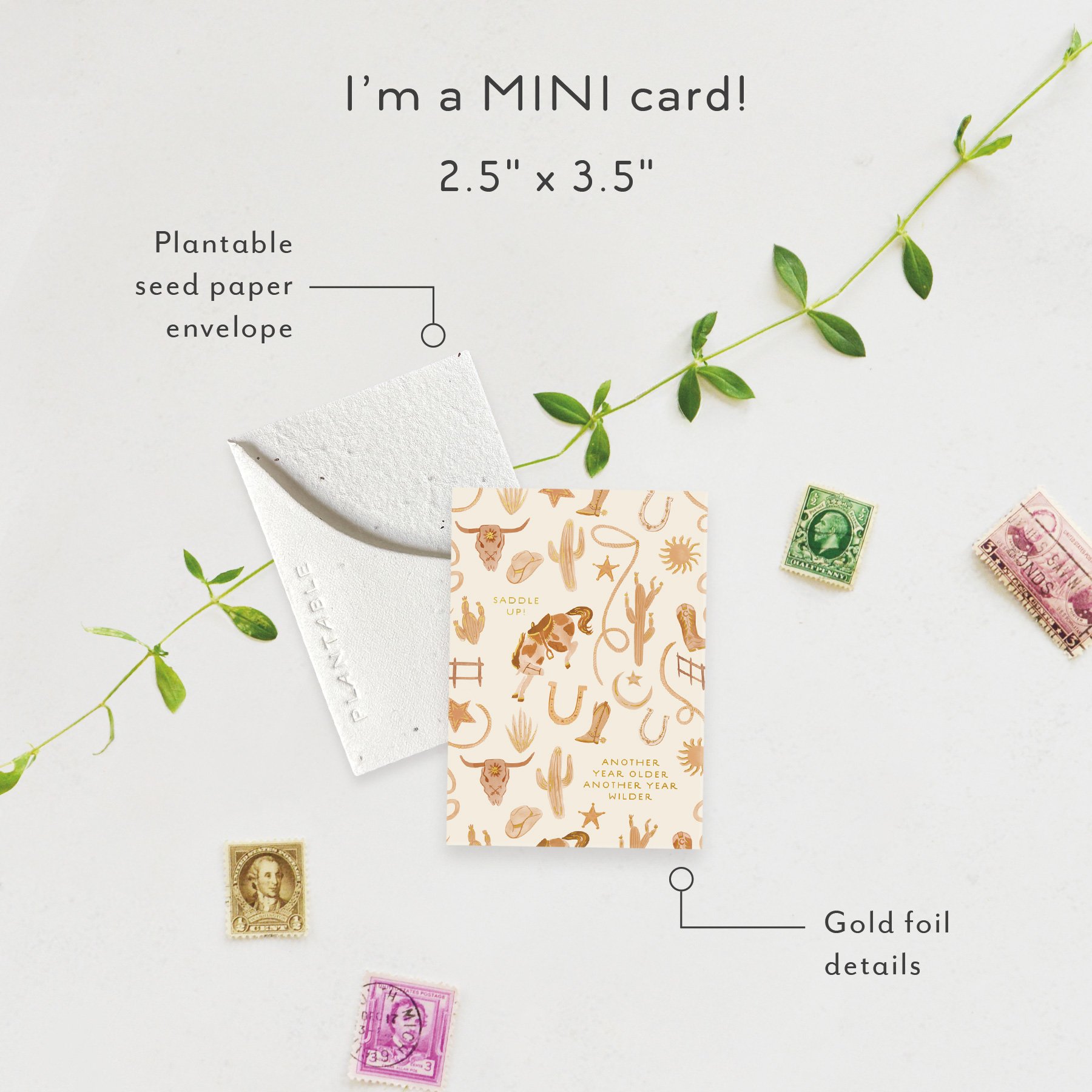 Saddle Up Sprout | Mini Birthday Card | SPR104907 *NEW (Copy)