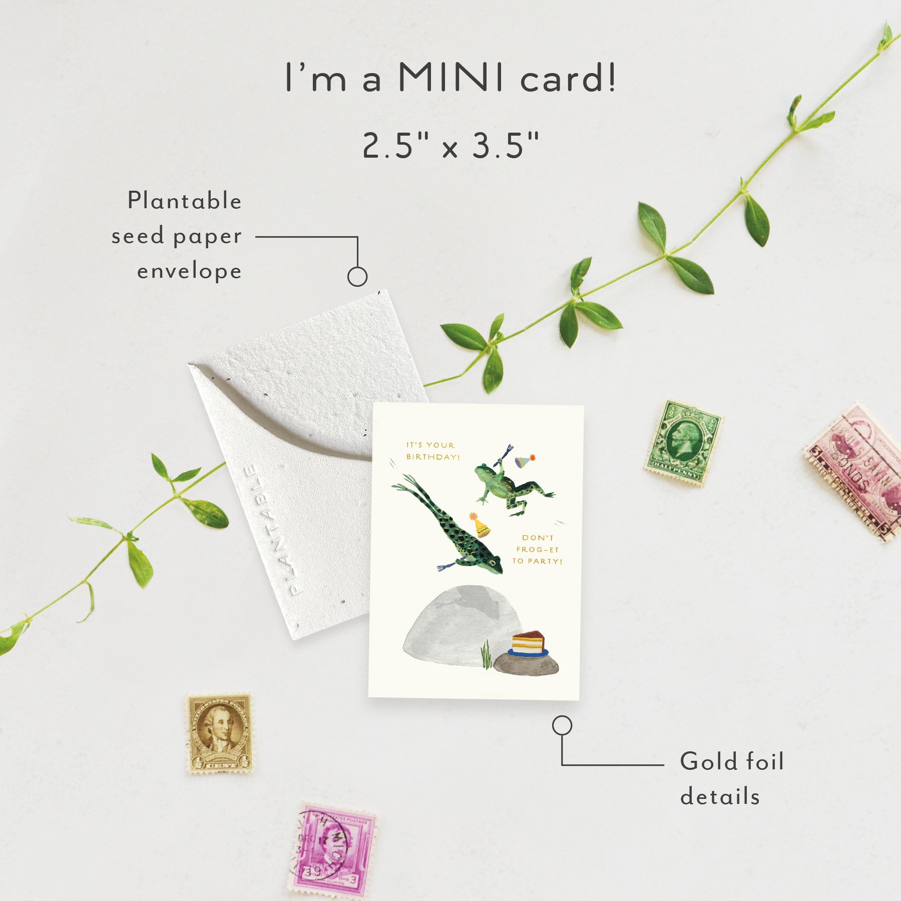 Party Frogs | Holiday Card | SPR104947 *NEW)