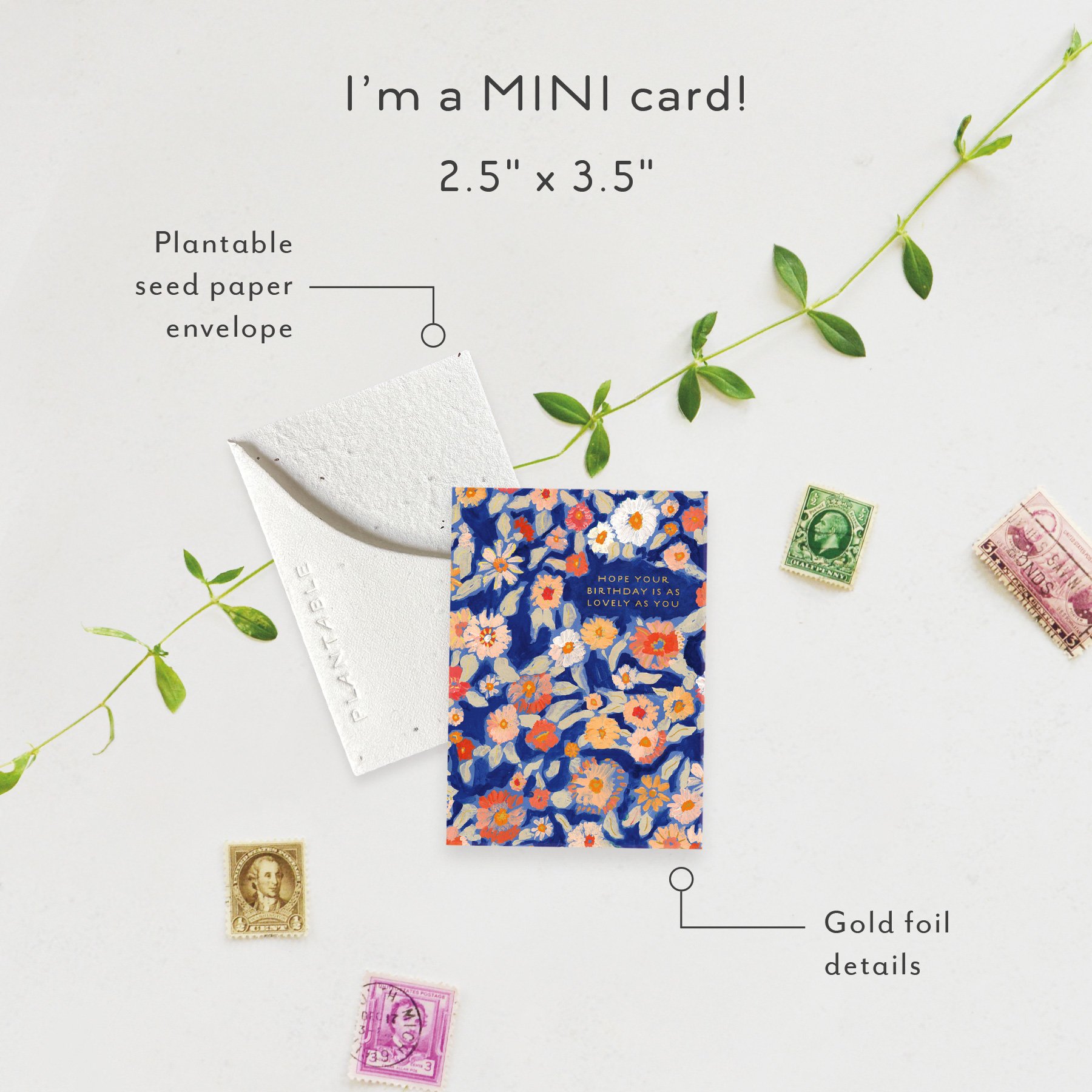 Wildflower Floral Sprout | Mini Birthday Card | SPR68635 *NEW