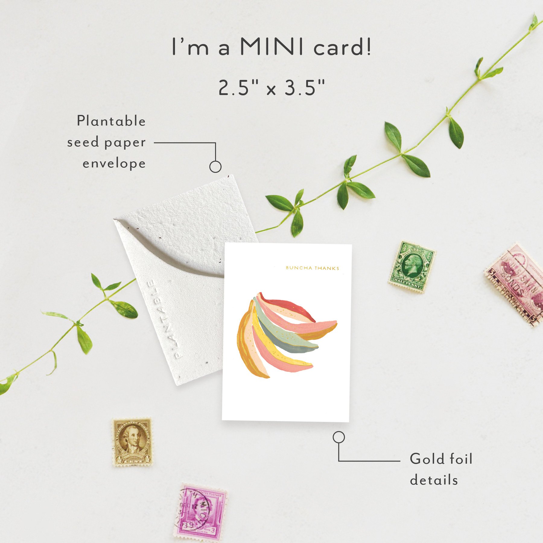 Bananas Sprout | Mini Thank you card | SPR68633 *NEW