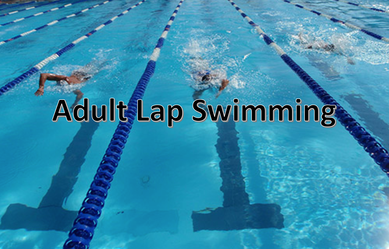 adult_lapswim.png