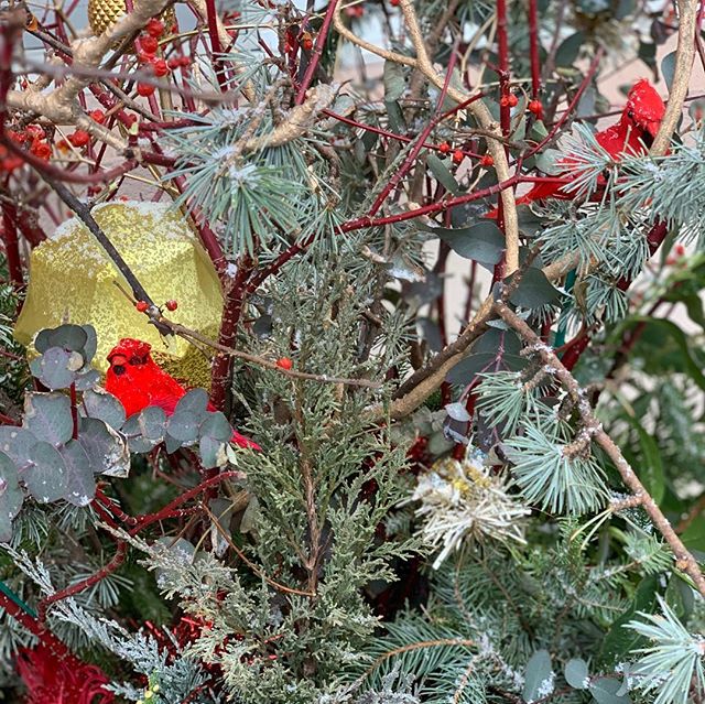 The holiday elf strikes again! #xmasdecor #foragedflora @georgiamma